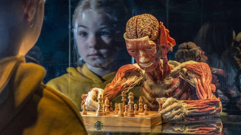 Heute.at - Wieder Grusel mit konservierten Leichenteilen in Wien