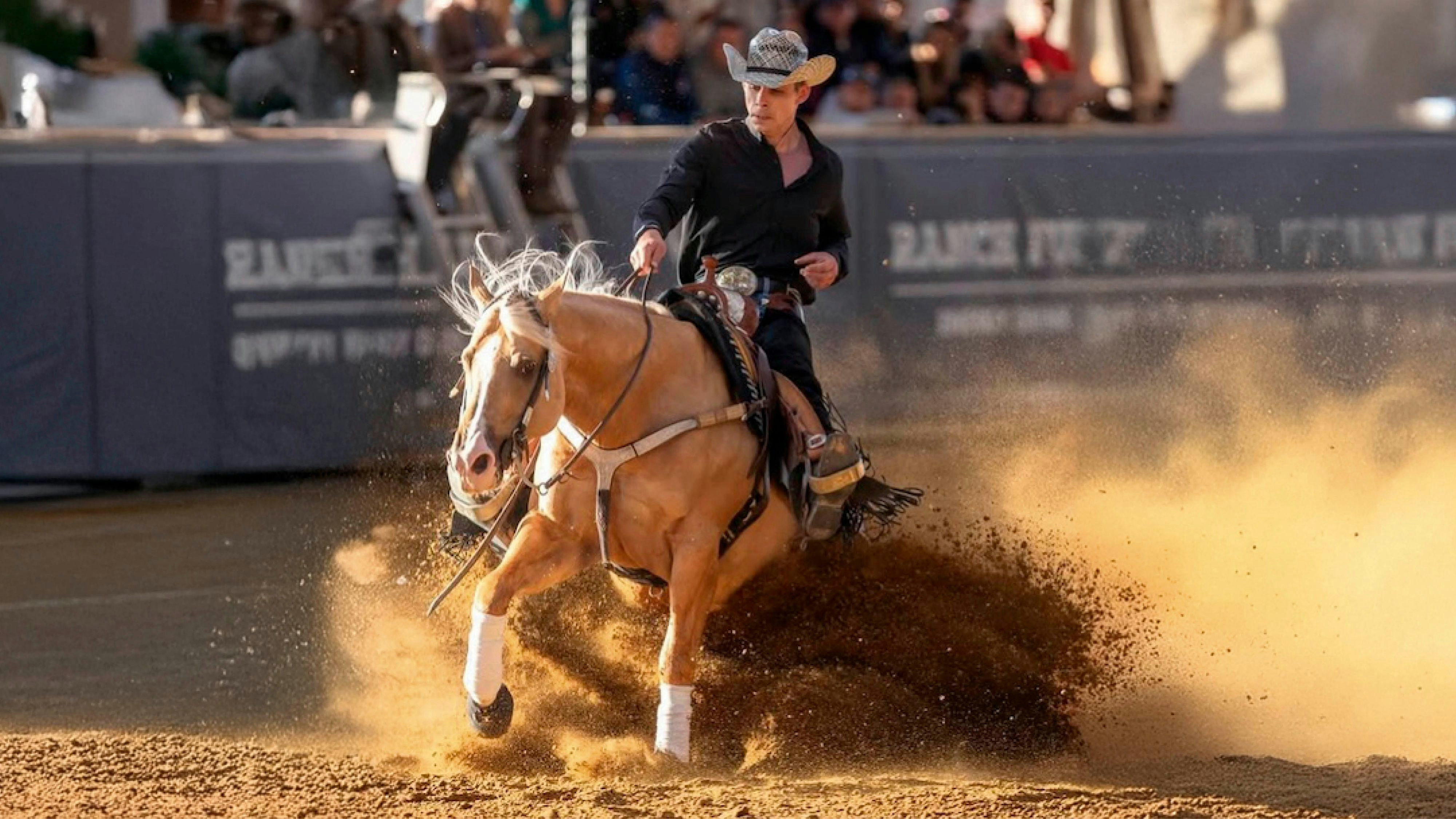Heute.at - (Pferde)stark – Kärntner Hengst gewinnt in Las Vegas