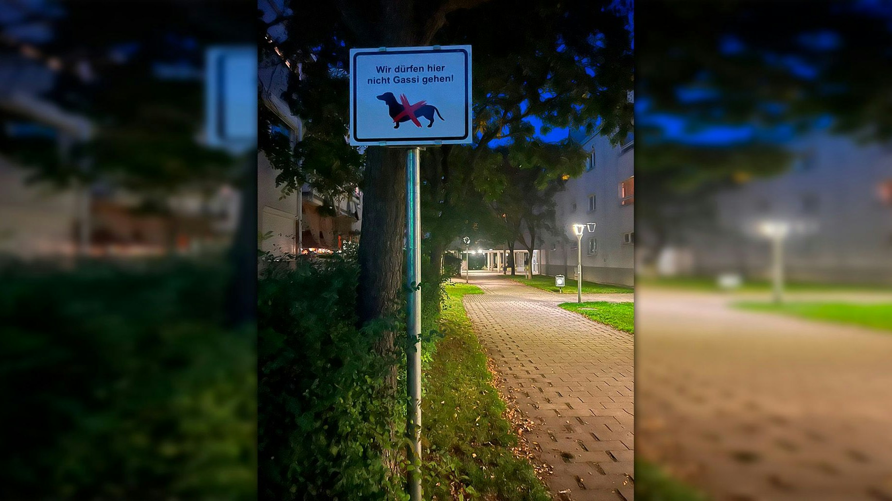 Gassi-Verbot sorgt für Ärger in der Wiener Donaustadt