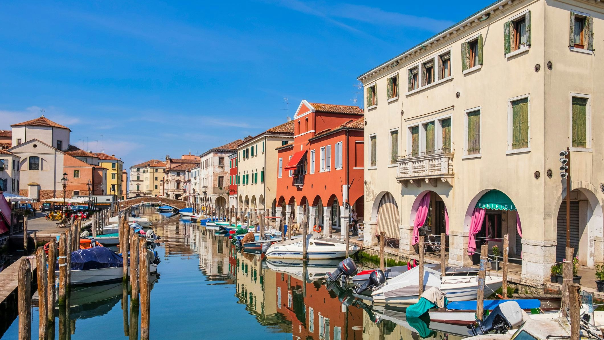 Heute.at - Israel-Hasser hetzen Rottweiler auf jüdisches Paar