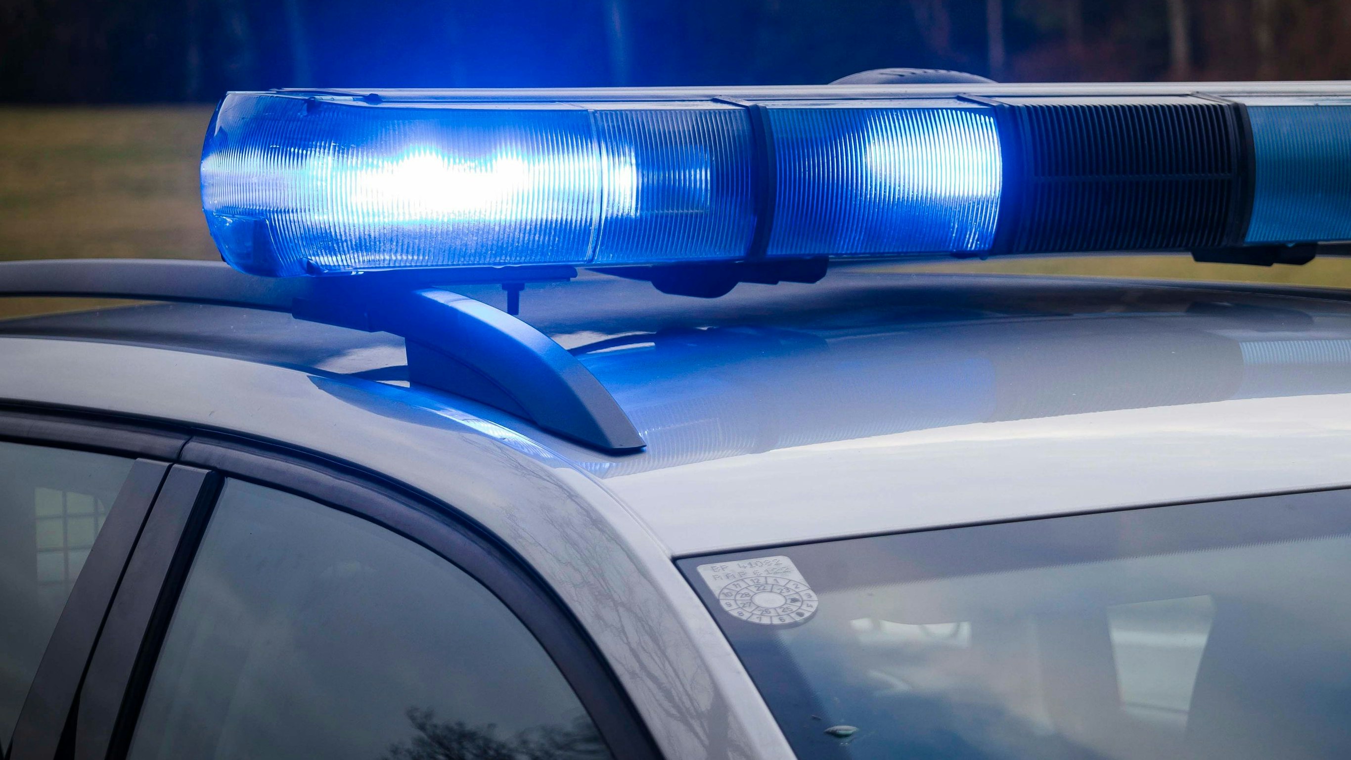 Heute.at - Auto kracht in Zirkus-Yak – Beifahrerin (17) verletzt