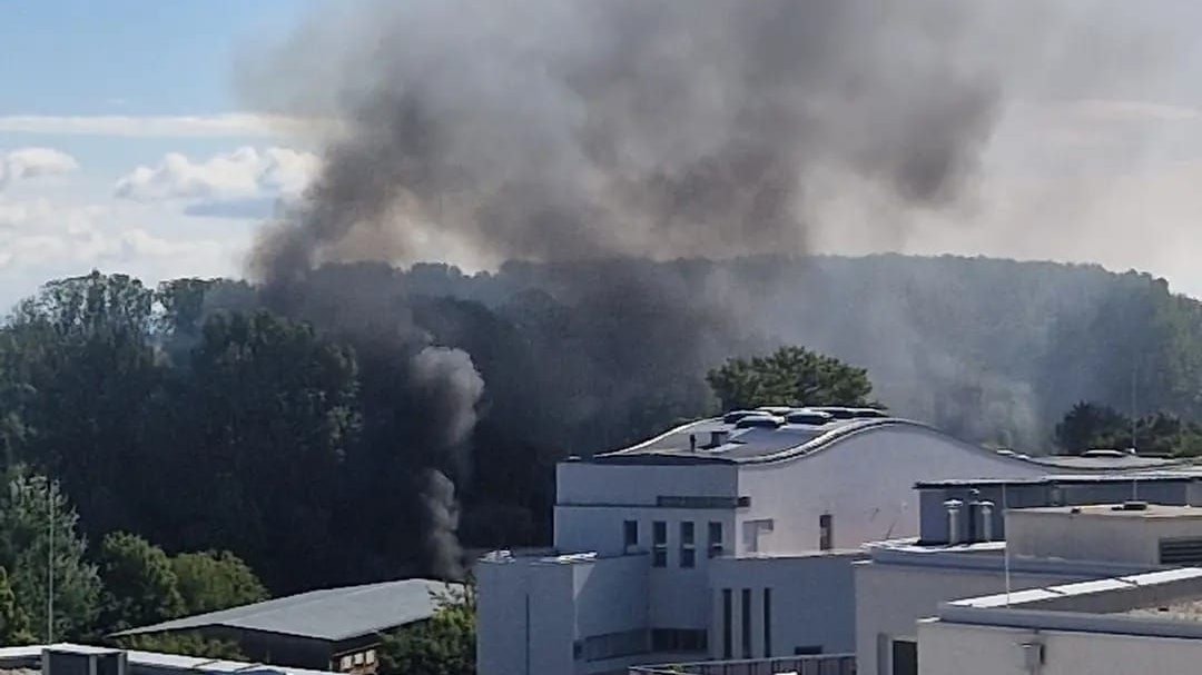 Heute.at - Reitstall steht in Flammen – Feuerwehr rettet Pferde