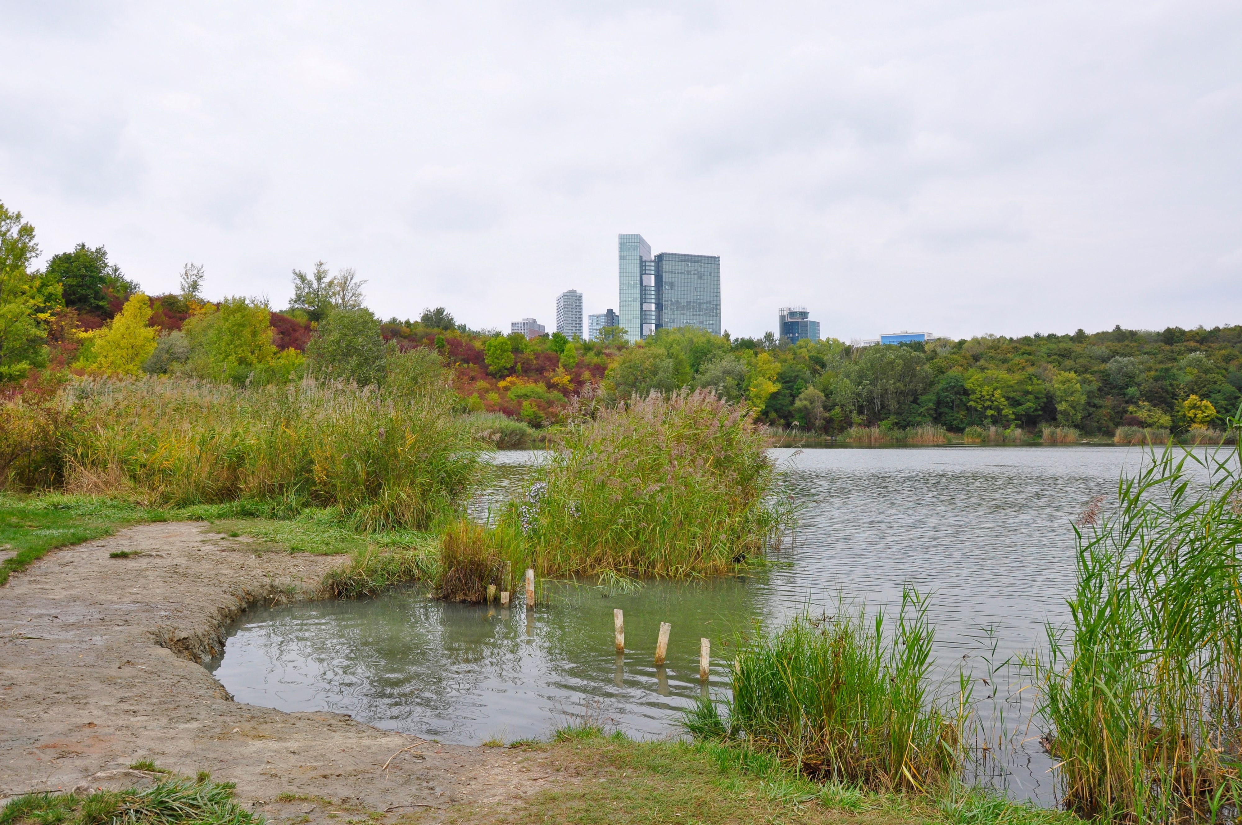 Der Vorfall ereignete sich beim Wienerbergteich im Erholungsgebiet Wienerberg, Favoriten.