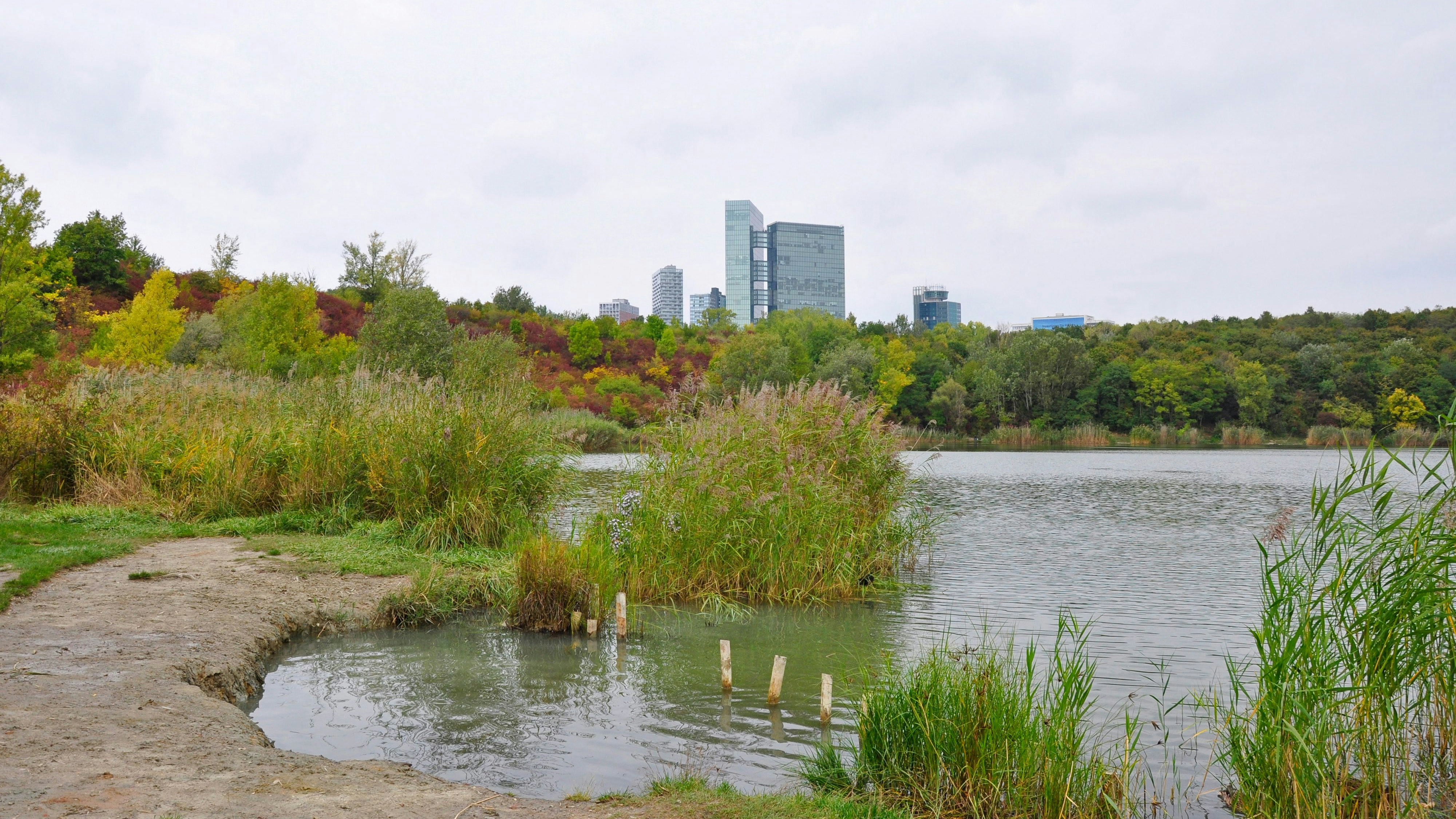 Der Vorfall ereignete sich beim Wienerbergteich im Erholungsgebiet Wienerberg, Favoriten.