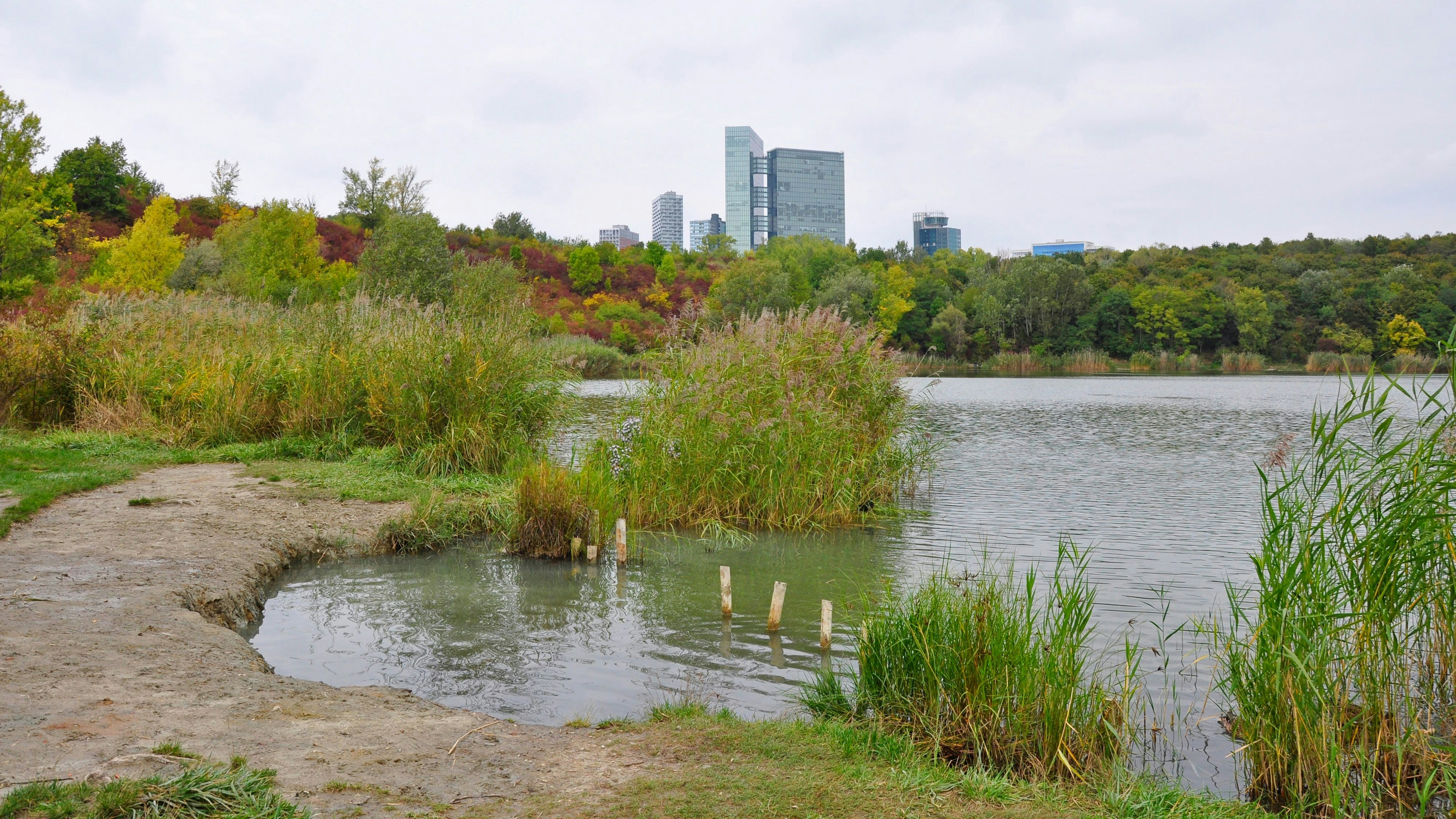 Der Vorfall ereignete sich beim Wienerbergteich im Erholungsgebiet Wienerberg, Favoriten.