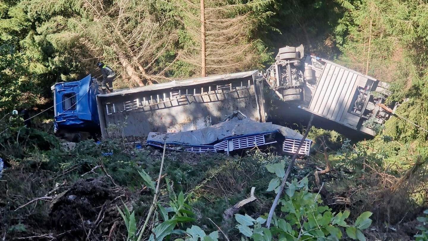 Der Tiertransporter stürzte über einen steilen Hang ab, überschlug sich mehrfach.