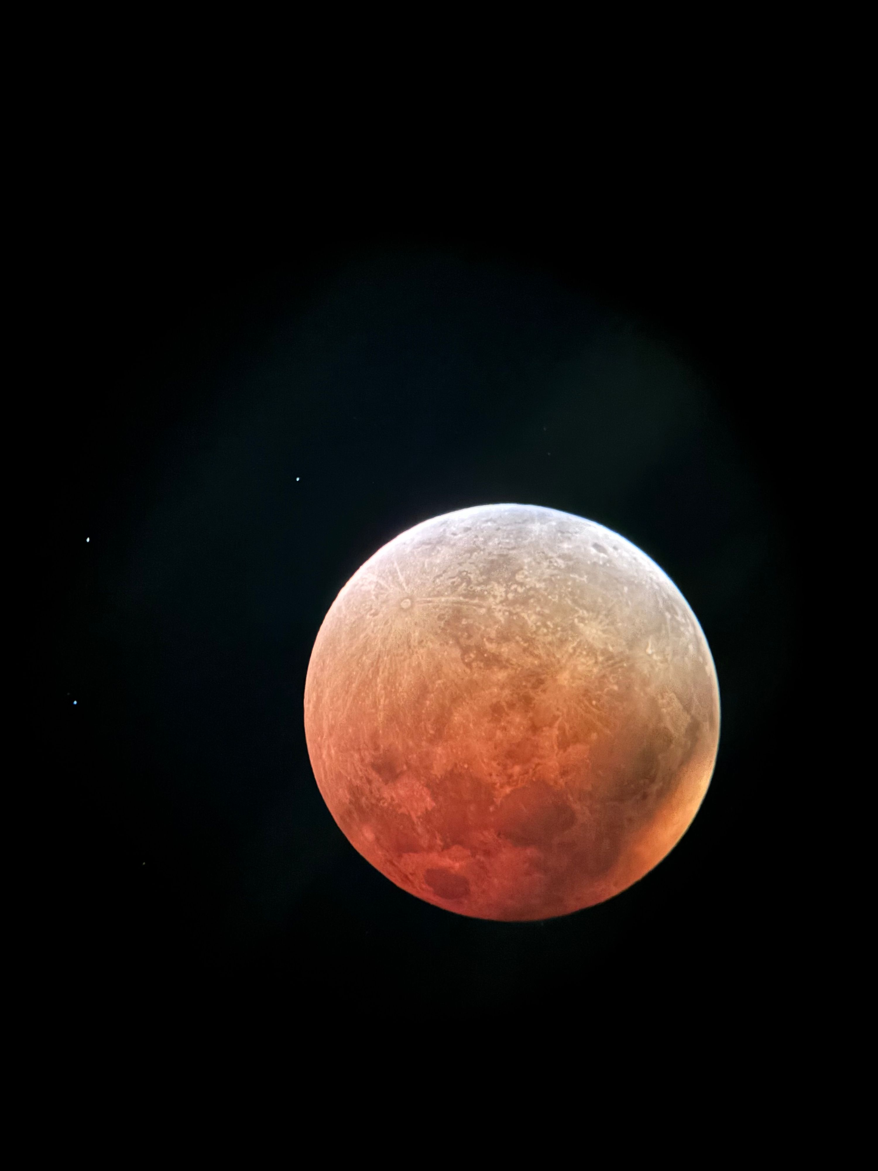 Tausende Wiener staunten am Sonntag in über das seltene Naturschauspiel.