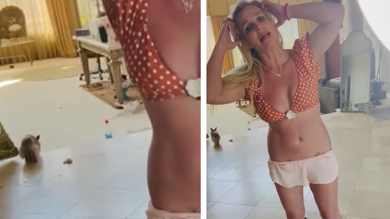 Heute.at - Überall Hundehaufen und Dreck! Sorge um Britney Spears
