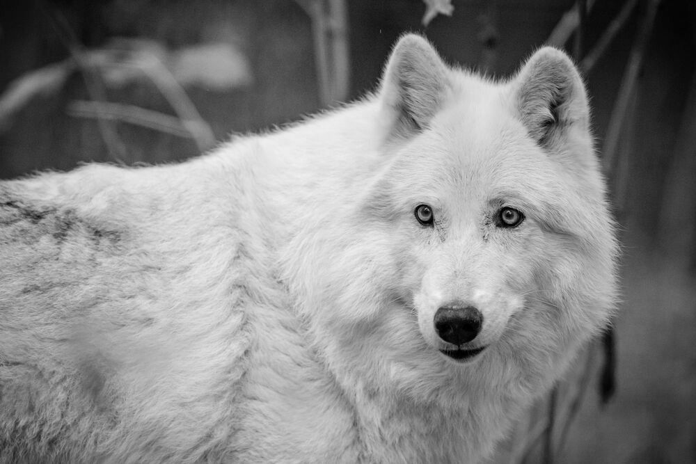 Una wurde 13 Jahre alt.