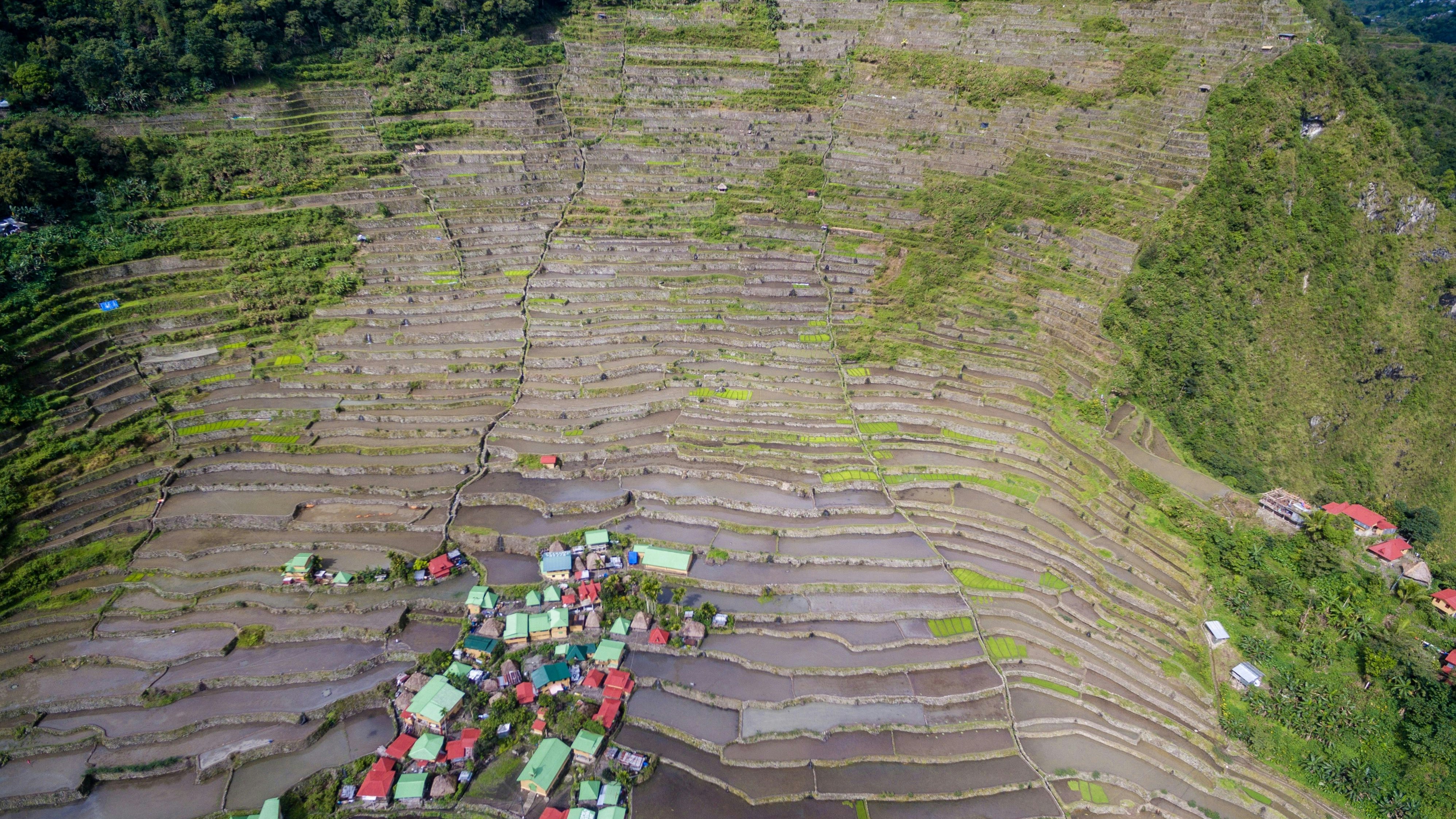 Batad ist ein Dorf der Stadtgemeinde Banaue der Region Ifugao auf der Insel Luzon, Philippinen.
