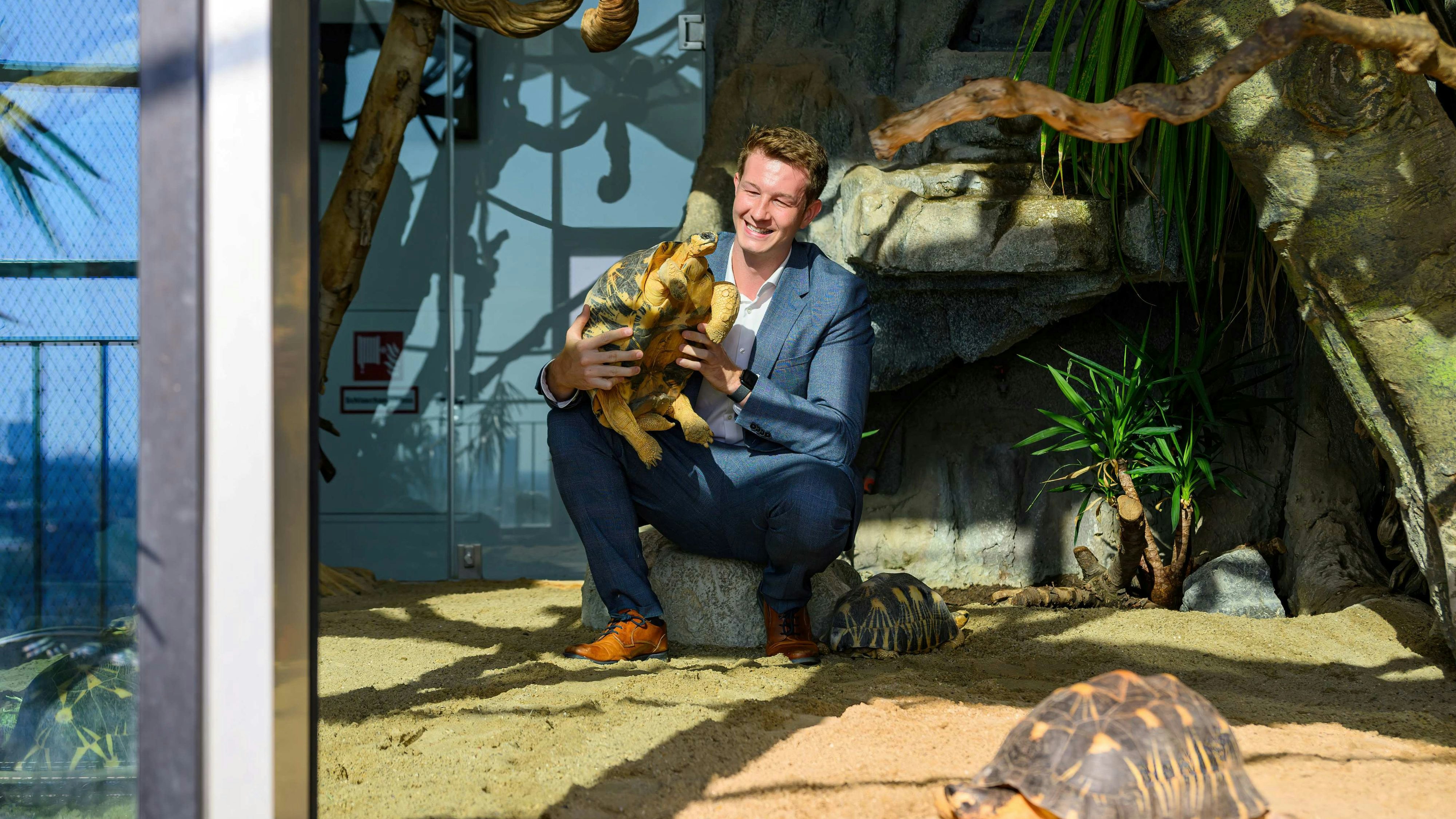 Haus des Meeres Zoodirektor Jeff Schreiner mit den neu angekommenen Strahlenschildkröten.