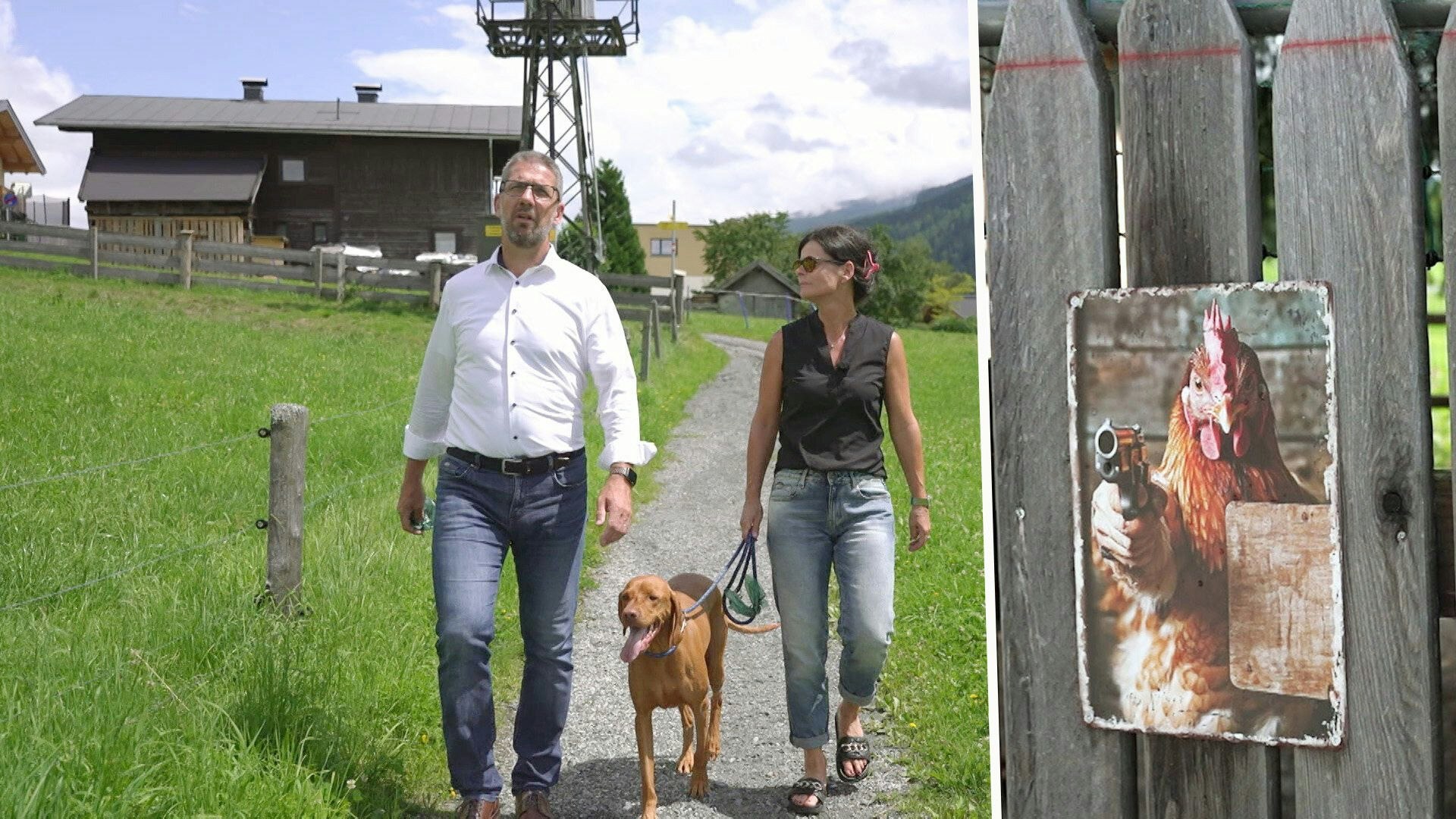 Heute.at - Lauter Hahn & Klagen: Konflikt unter Nachbarn eskaliert