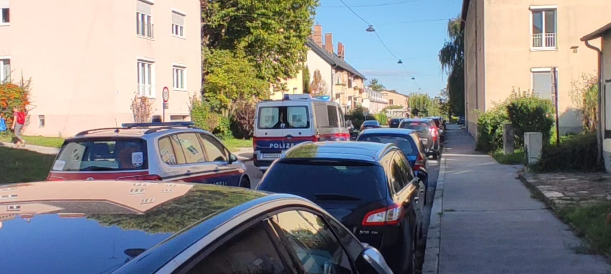 Aufregung unter der Anrainern: Polizei nimmt Mann in Wohnanlage fest.