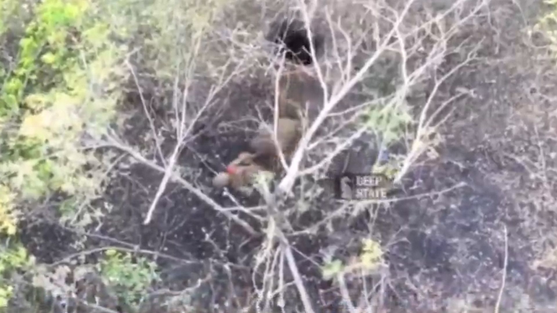 Russische Soldaten sind über eine unterirdische Röhre zur strategisch wichtigen Frontstadt Kupjansk vorgedrungen. Der Zugang am Ostufer des Flusses Oskil ermöglicht es ihnen, unbemerkt auf die Westseite zu gelangen und dort ihre Stellungen auszubauen.