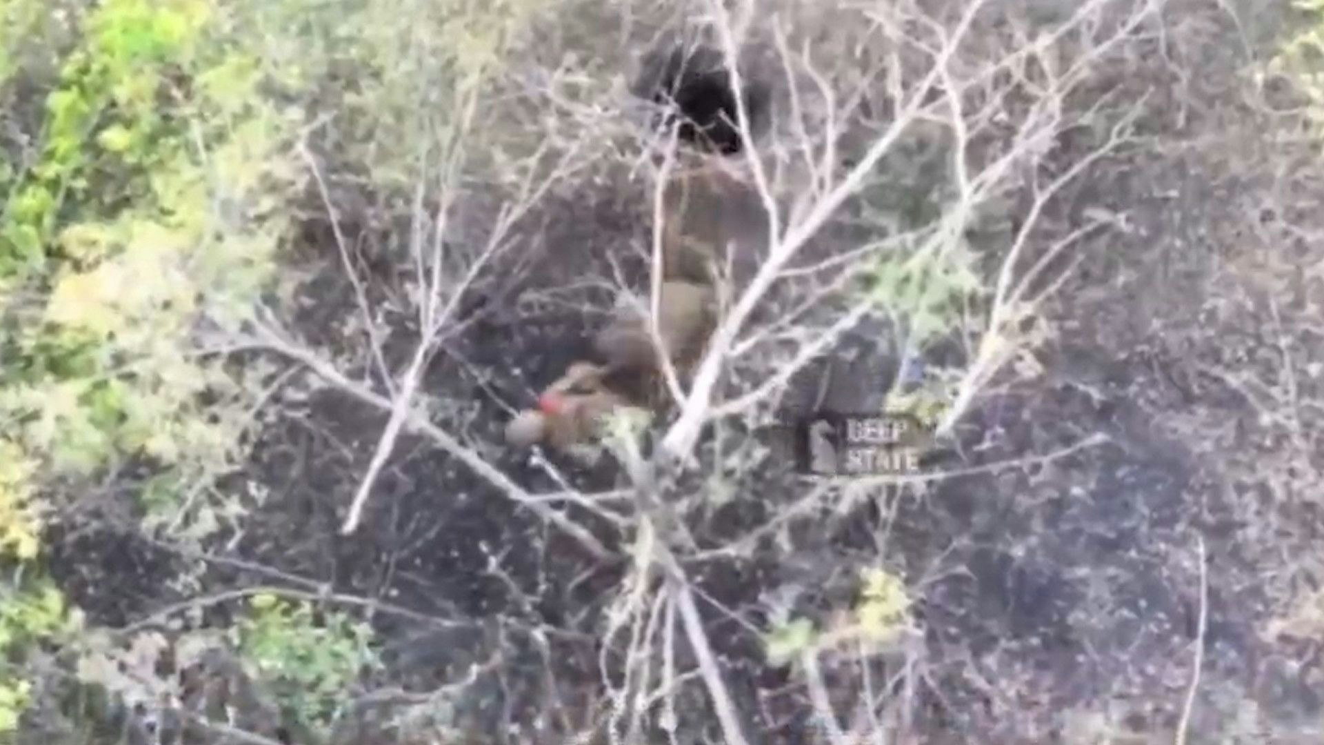 Heute.at - Putins Soldaten kriechen tagelang durch Tunnel an Front