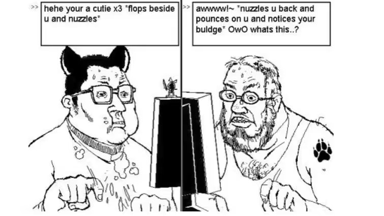 Das Meme, das den Satz «Notices your buldge, OwO what's this?» berühmt machte. Der Satz stand auf der Patrone, mit der der mutmassliche Attentäter Tyler Robinson den rechten Aktivisten Charlie Kirk getötet hat.