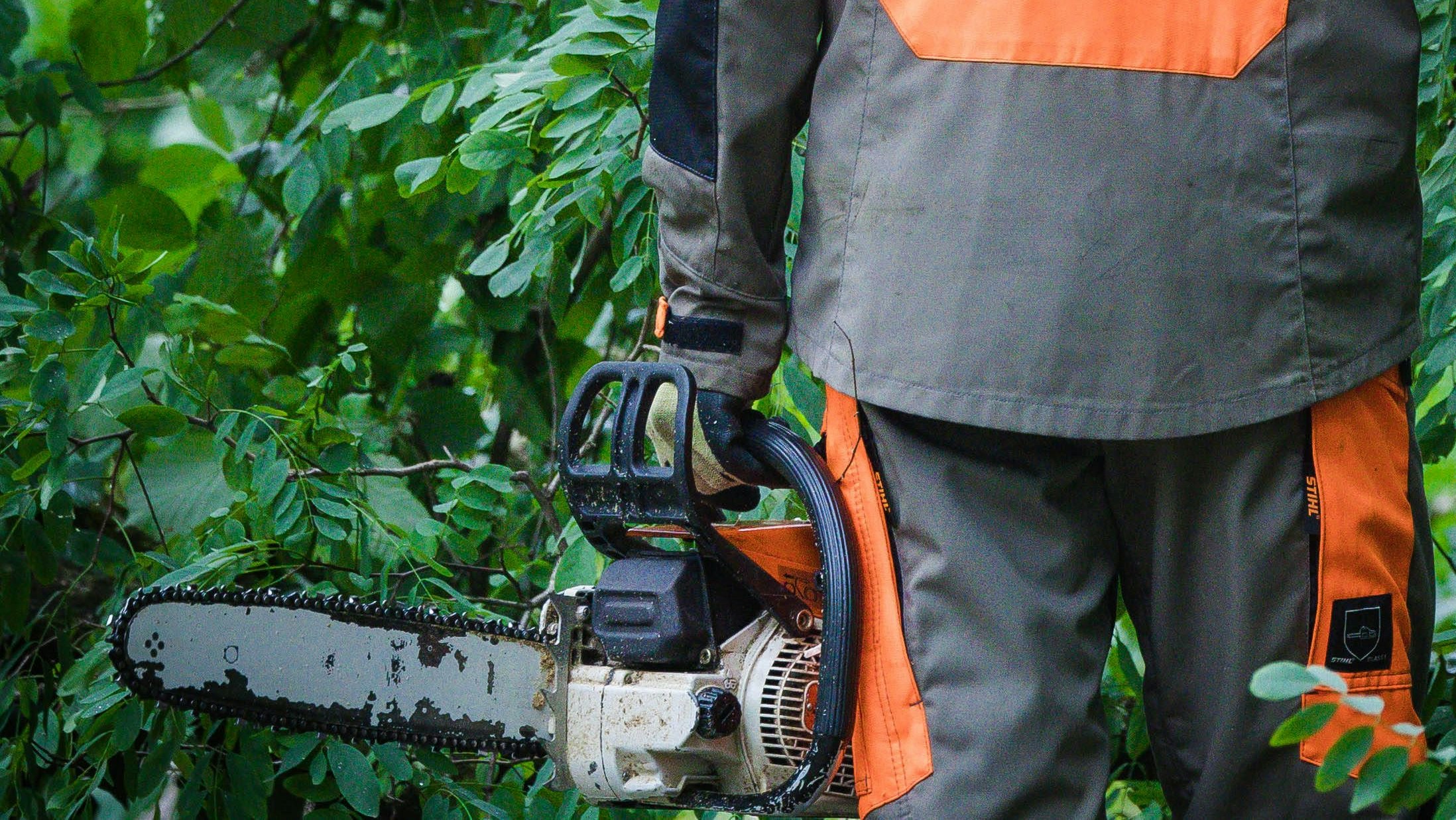 Heute.at - Eichen-Ast katapultiert Landwirt in die Tiefe – tot