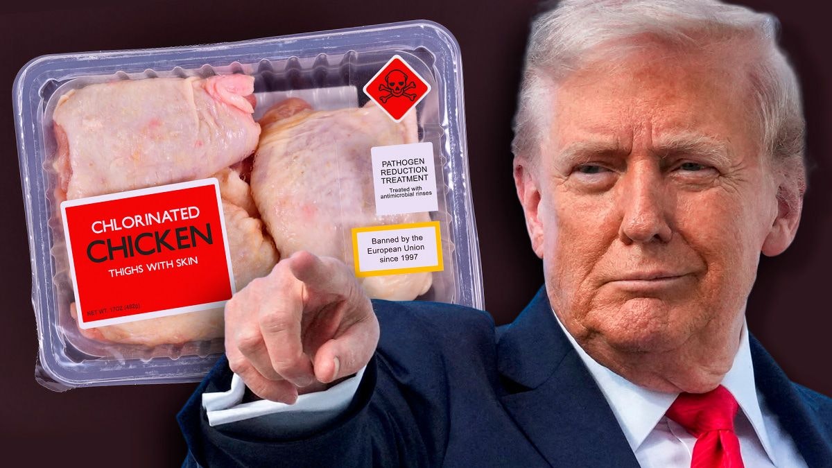 Heute.at - Österreich-Nachbar will Chlorhuhn-Verbot aufheben