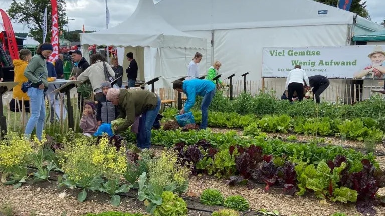 Das Abernten im Mai beim Mustergarten in Wieselburg.