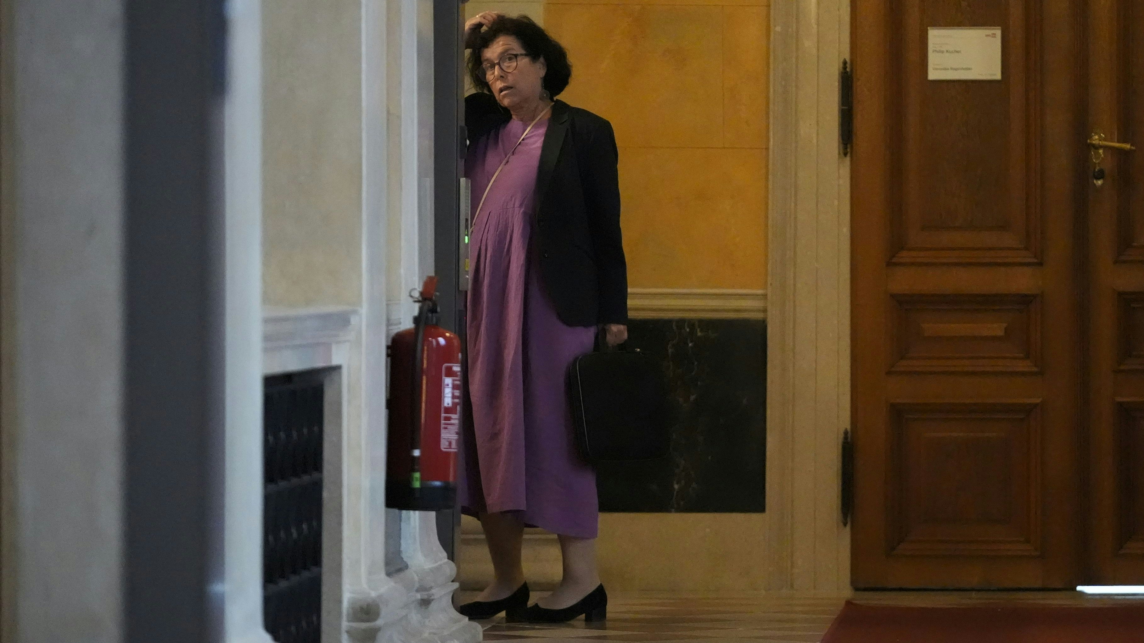 "Wie soll das bloß weitergehen?" – Birgit Gerstorfer, Chefin des SPÖ-Pensionistenverbands, nahm vor Protestkundgebung am Partei-Präsidium teil.