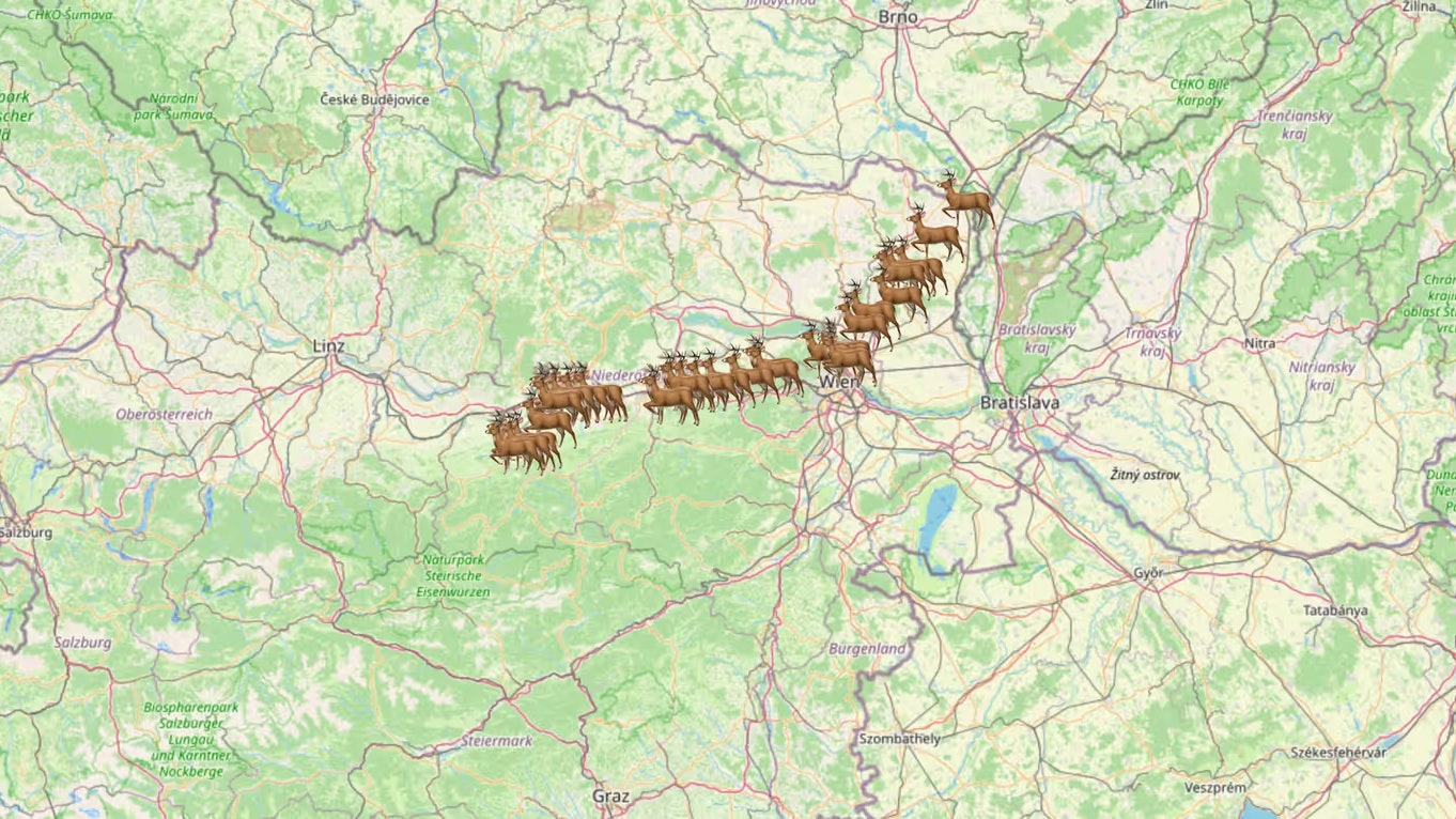 Auf der Website "Elch Emil" kann man Emils Wanderung nachvollziehen.