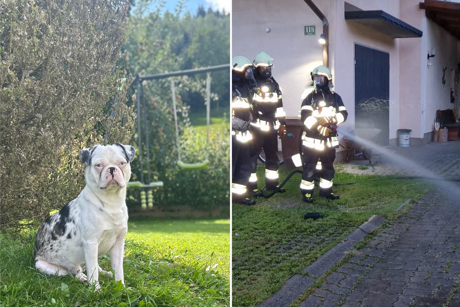 Hund Loki verhinderte Schlimmeres und rette die Familie