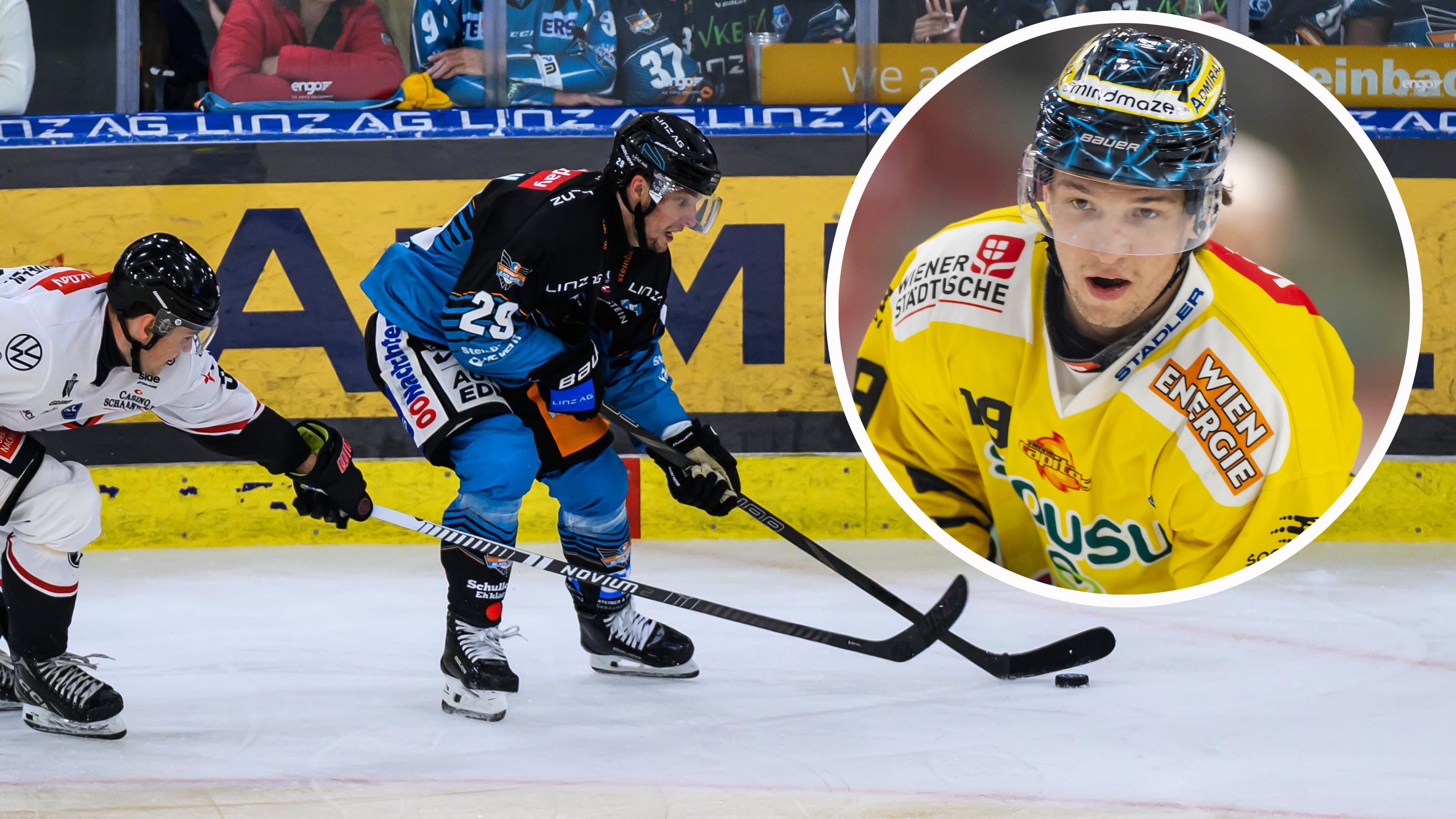 Aljaz Predan tauschte das gelbe Caps-Jersey gegen Schwarz und Petrol der Wings.