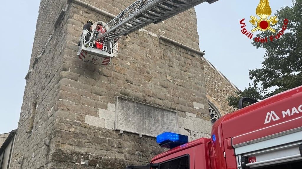Heute.at - Tourist in Triest auf Wahrzeichen gefangen