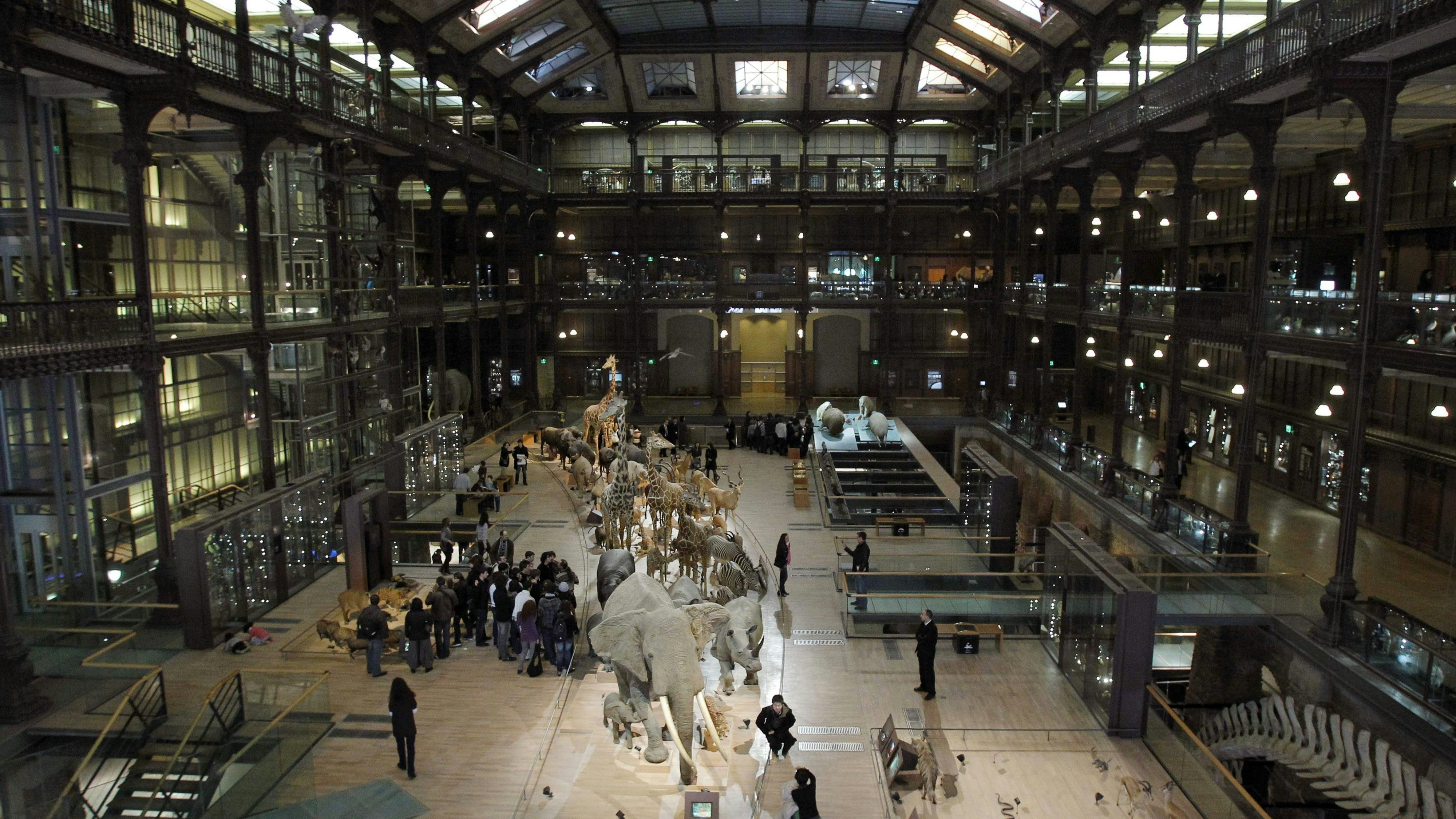 Download von www.picturedesk.com am 17.09.2025 (16:02).  (FILES) This file photo taken on February 5, 2010, shows the Galerie de l'Evolution (Evolution Gallery) at the Museum National d'Histoire Naturelle in Paris. - The Museum National d'Histoire Naturelle presented its 2018/2019 season on September 20, 2018. (Photo by PATRICK KOVARIK / AFP) - 20100205_PD4462 - Rechteinfo: Rights Managed (RM) Nur für redaktionelle Nutzung! Werbliche Nutzung erfordert Freigabe: bitte schicken Sie uns eine Anfrage.