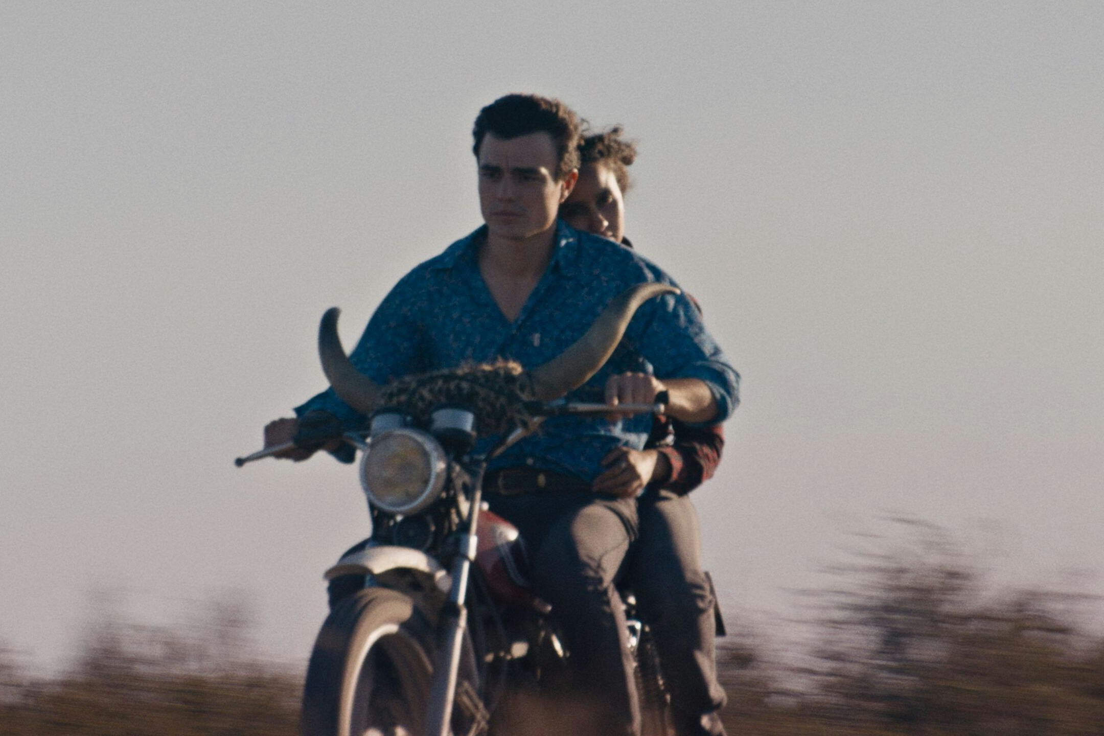 Nejmas Freunde, die Hirten der Stiere, werden nach und nach von den Tieren attackiert