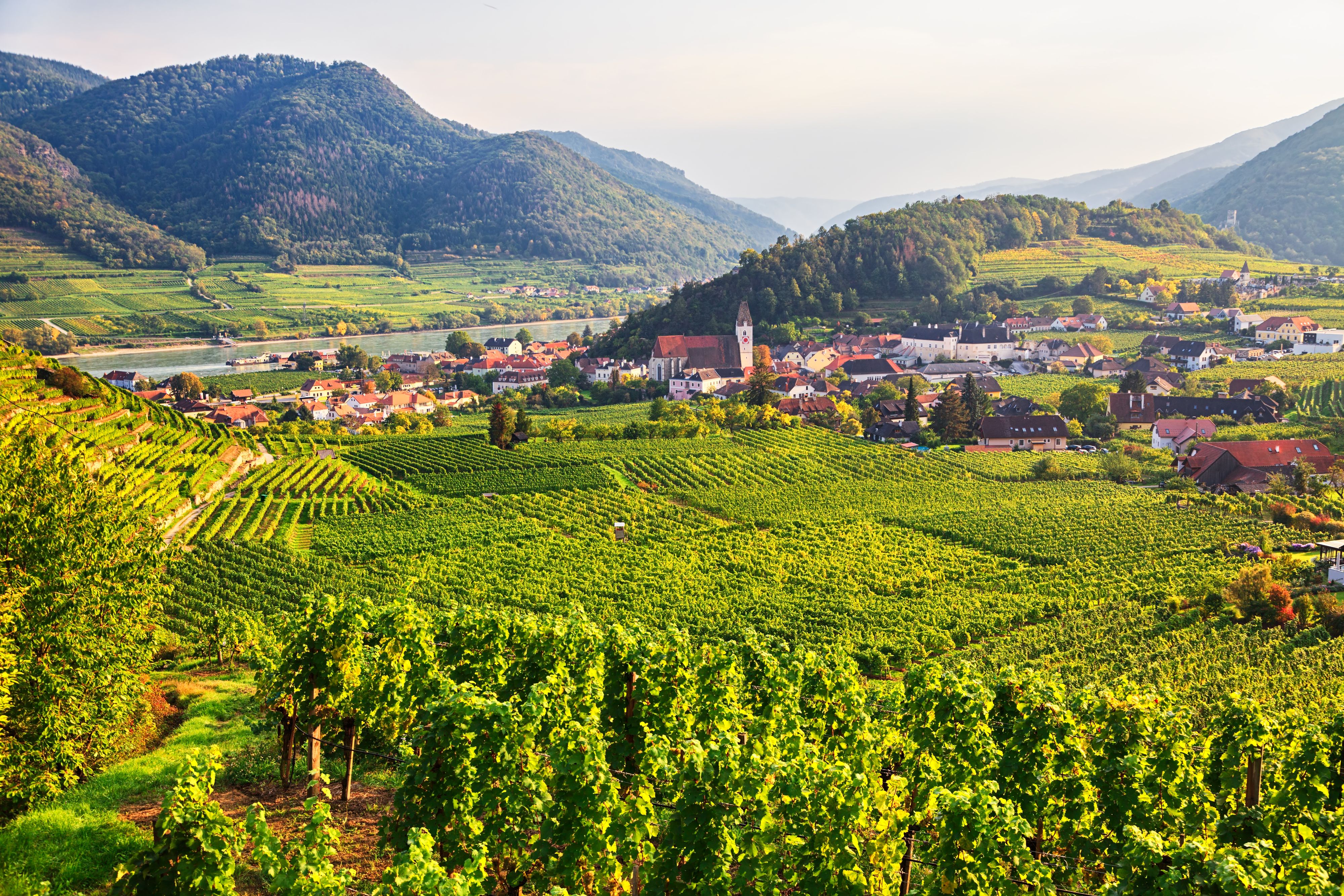 In vielen kleinen Städten und Gemeinden in NÖ sind innovative Betriebe tätig und stärken die regionale Wirtschaft.