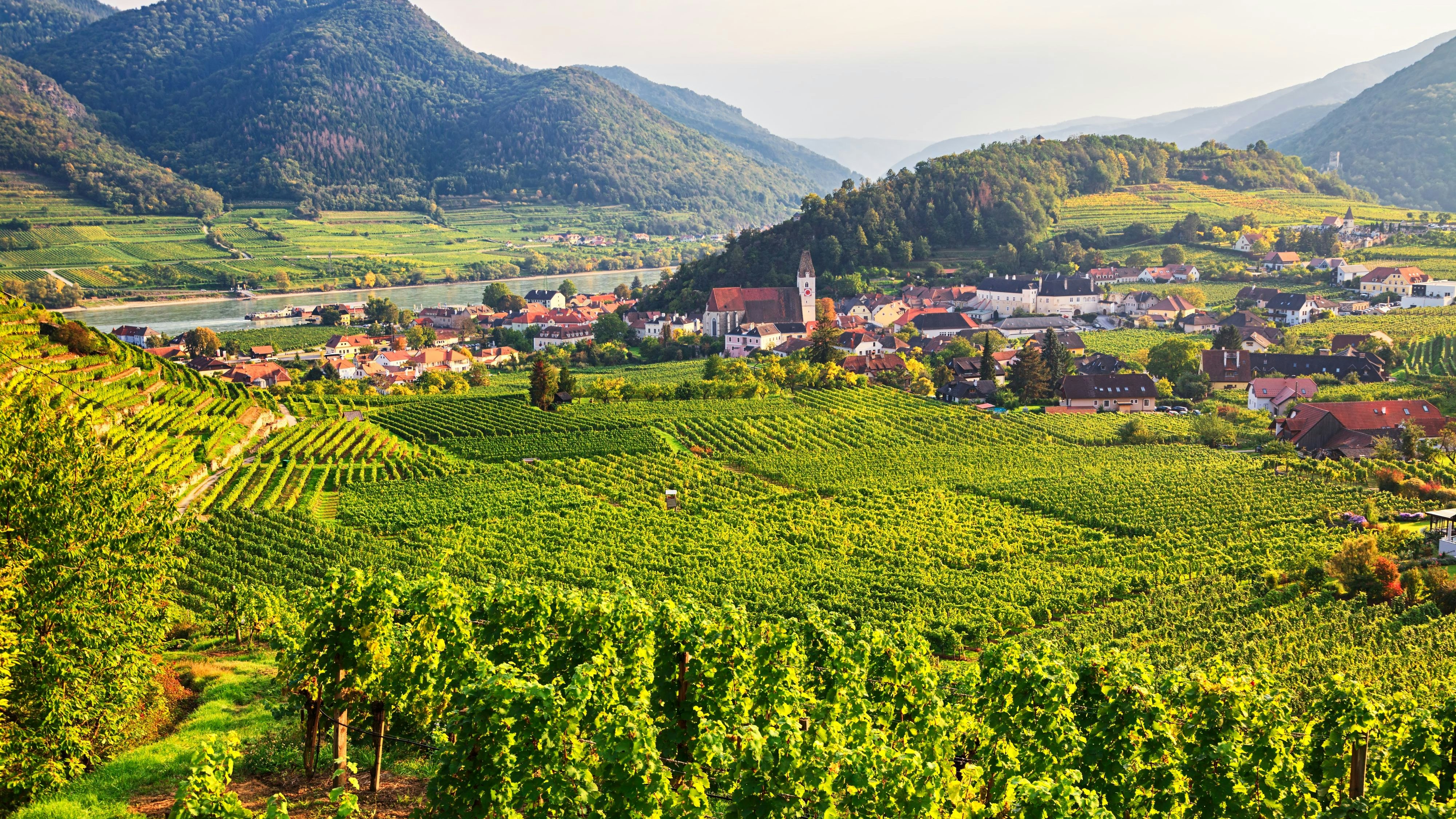 Heute.at - Eine Bühne für Wirtschaftshelden