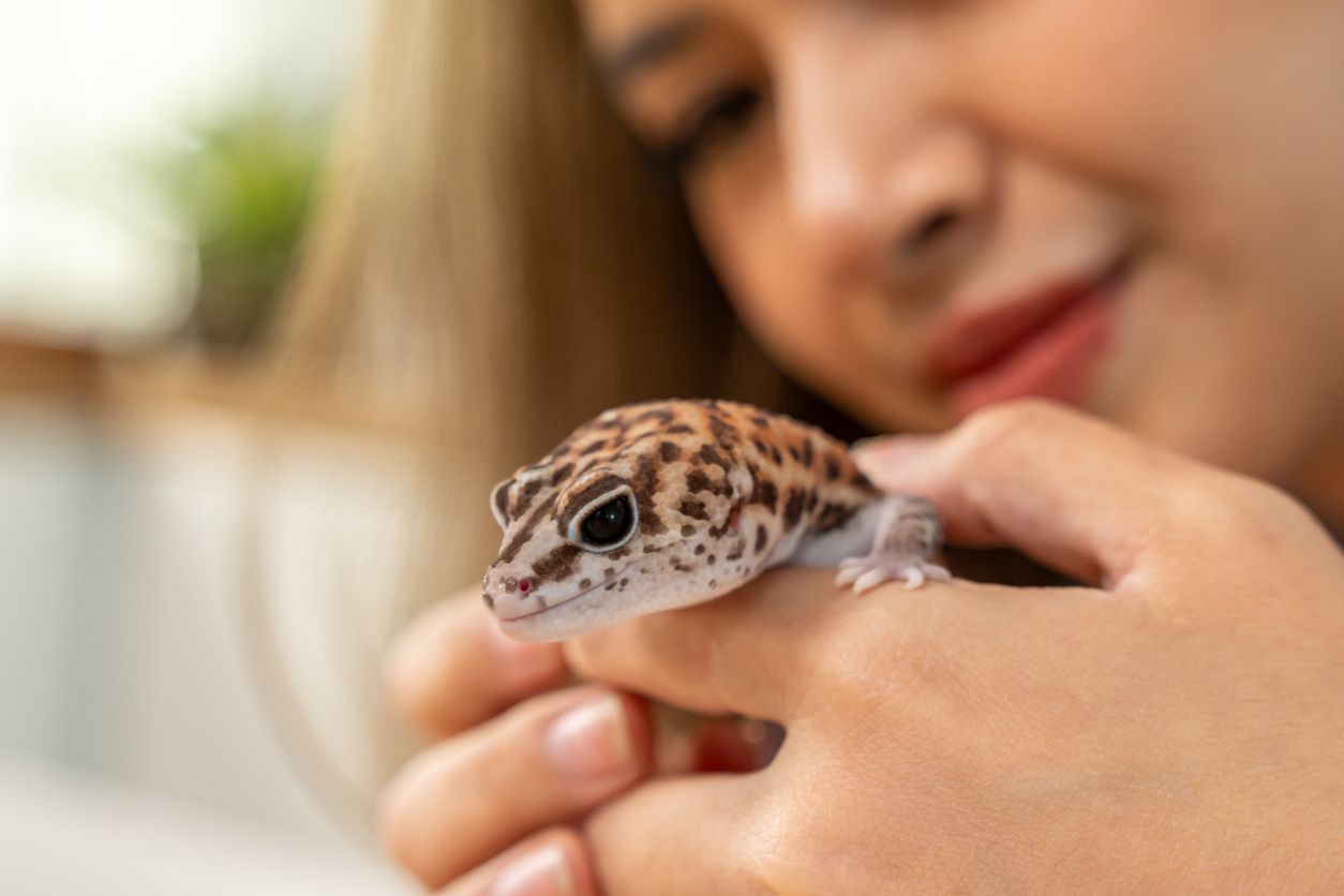Bereits über 1.000 Wiener wissen besser über das exotische Haustier Bescheid. Toll!
