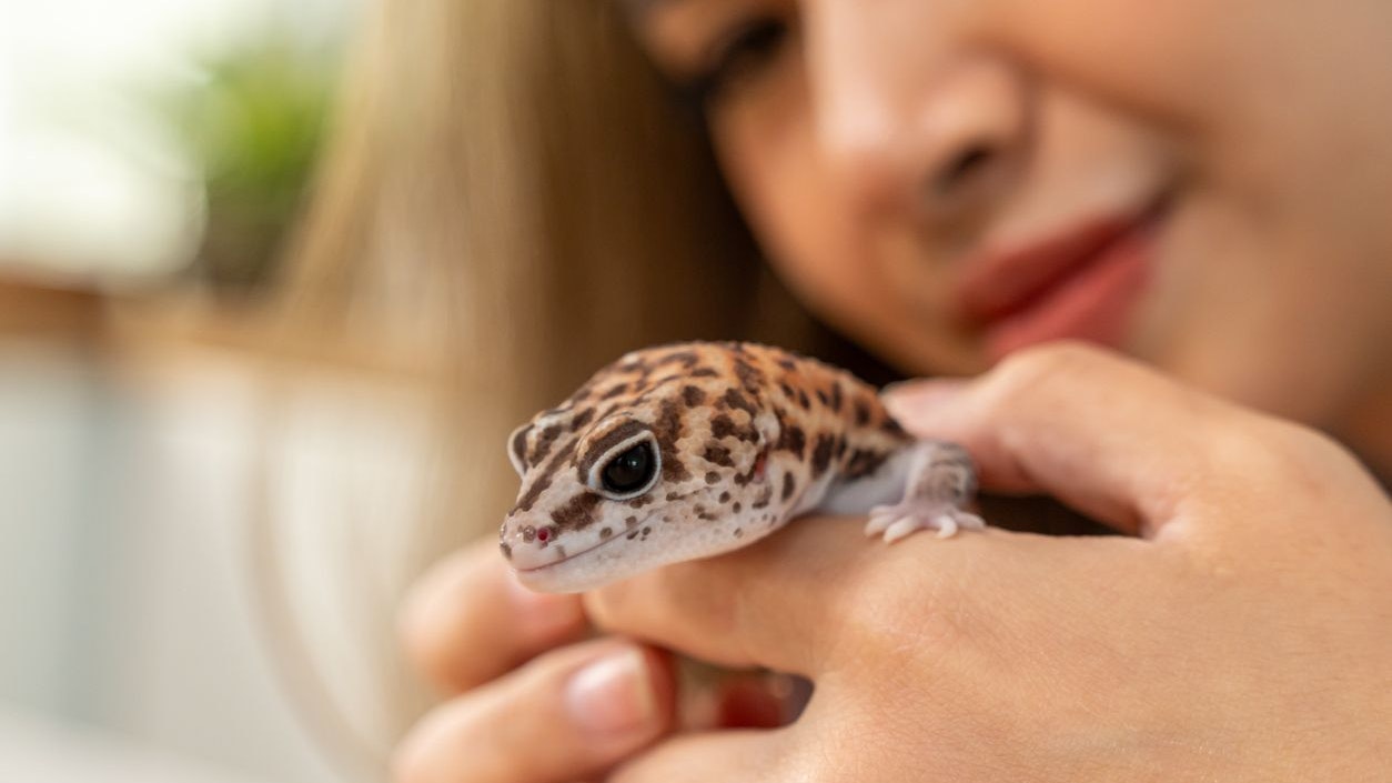 Heute.at - Fleißige Wiener! Schon 1.000 lernten für Eidechse & Co.