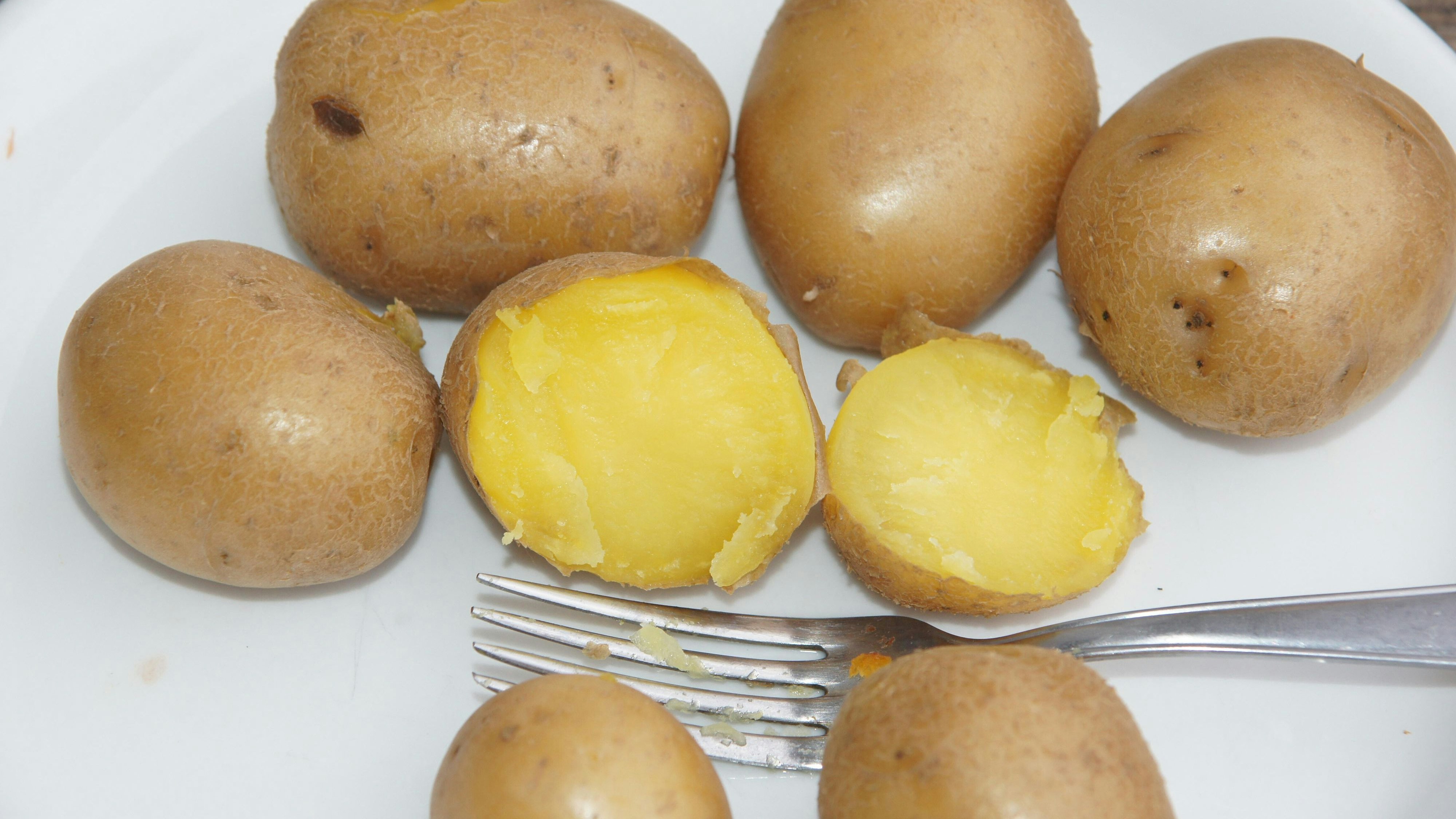 Download von www.picturedesk.com am 19.09.2025 (16:18).  Solanum tuberosum, Kartoffel, potato - 20250226_PD25386 - Rechteinfo: Rights Managed (RM)