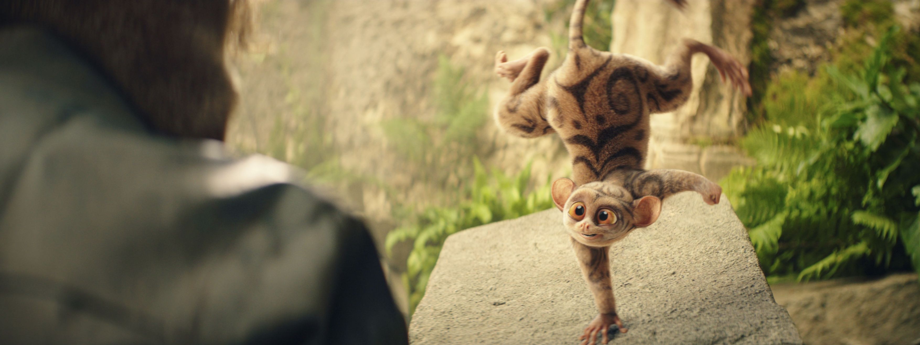 DIE SCHULE DER MAGISCHEN TIERE 4 &nbsp;- Ab 25.September NUR im Kino!