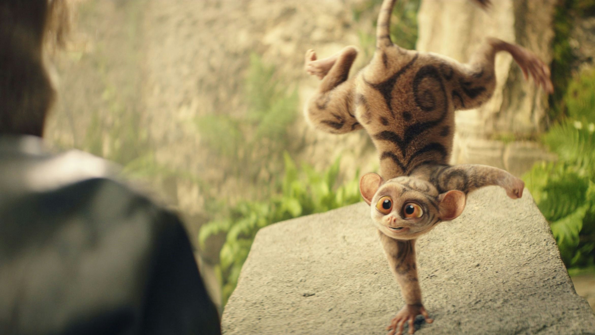 Heute.at - Die magischen Tiere sind zurück im Kino: jetzt gewinnen