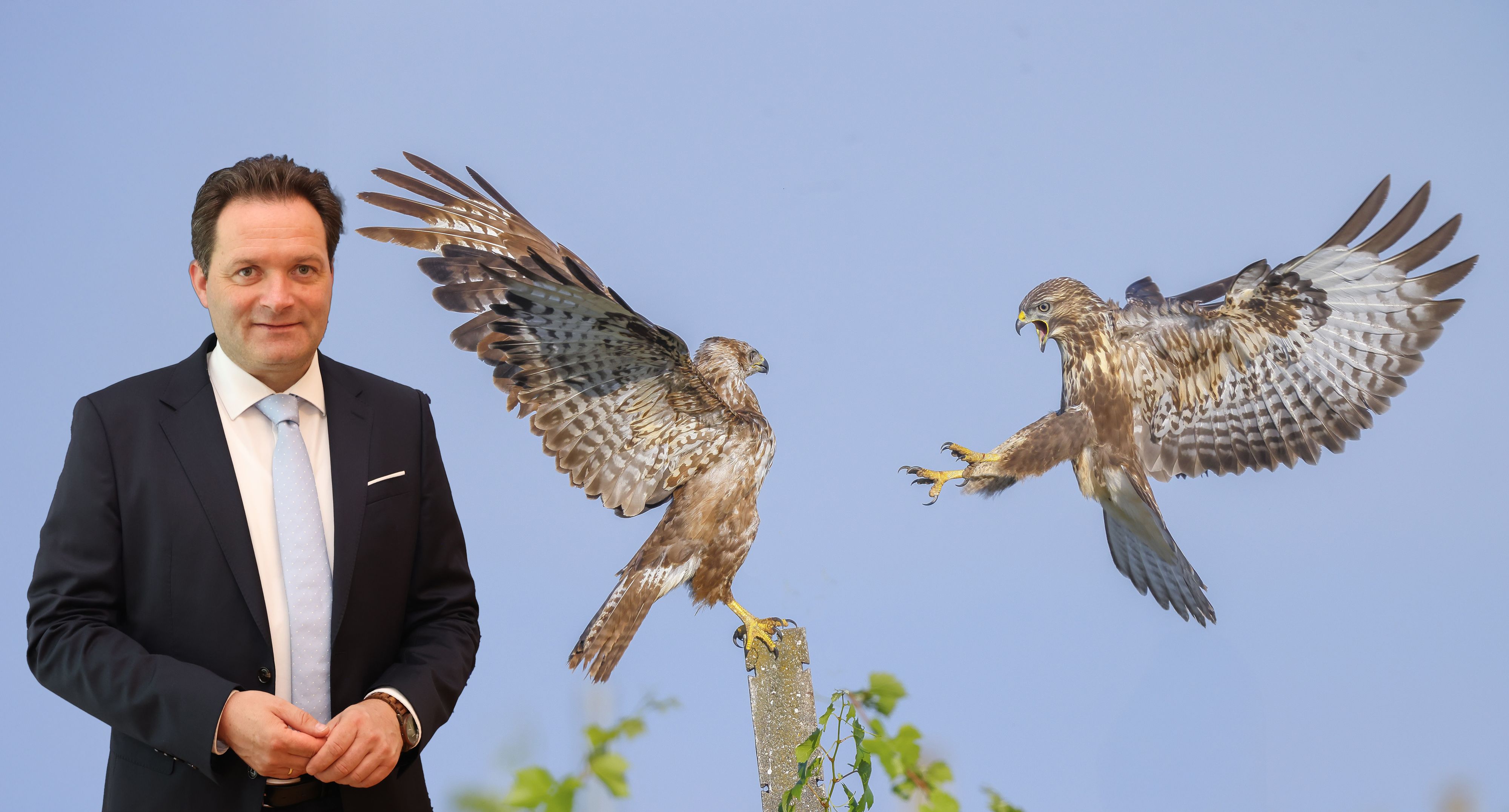 Umweltminister Norbert Totschnig (ÖVP) vor Greifvögeln – auch Bussarde profitieren von der Nationalpark-Erweiterung.