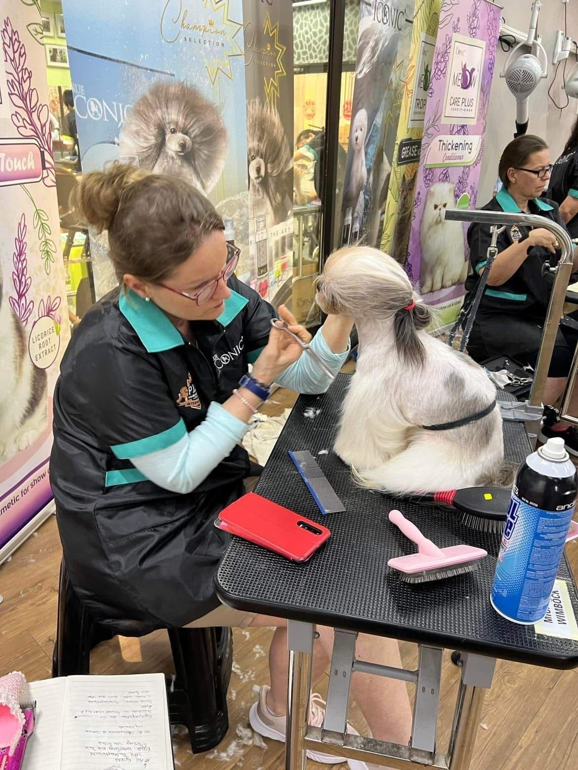 Heute.at - Hunde-Salon de luxe – Schlamm-Kur, Glitzer, Schleifchen