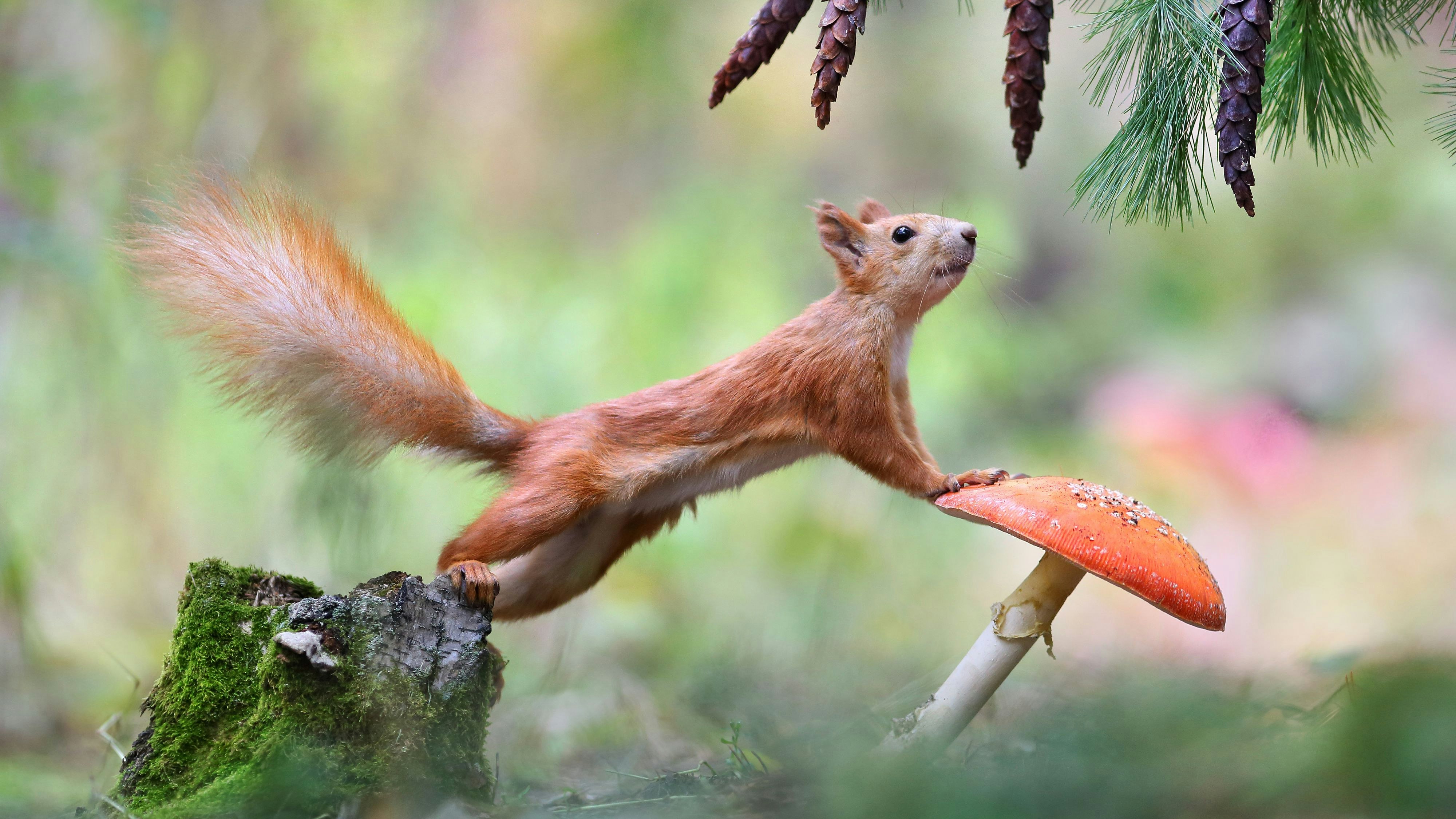 Heute.at - Beste Fotos der Welt: Ganz ohne künstliche Intelligenz