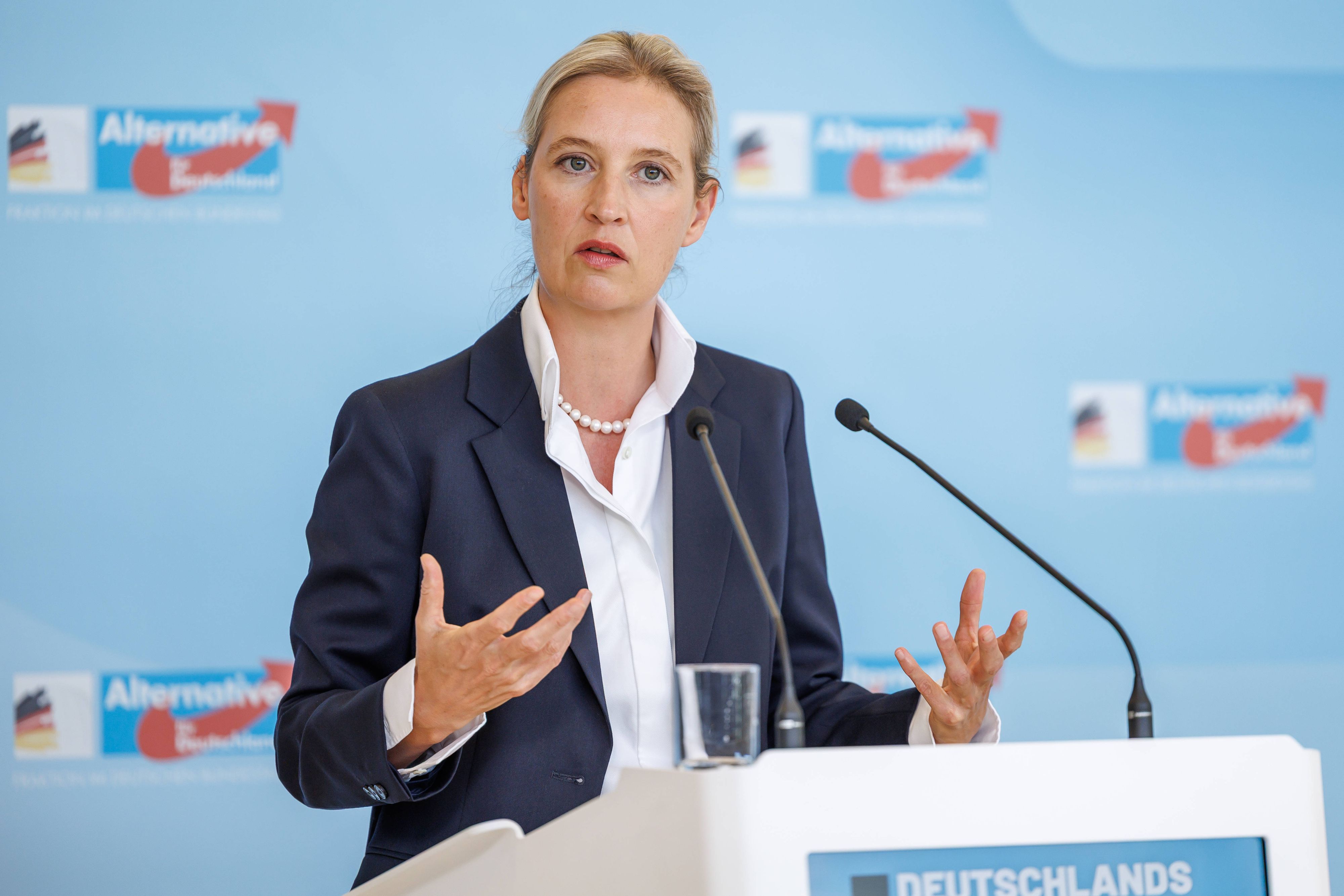 AfD-Chefin Alice Weidel hat überraschend Kritik an Wladimir Putin geäußert.