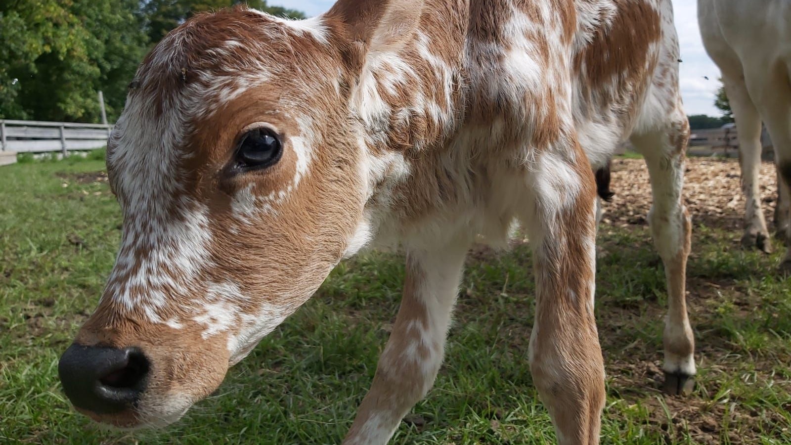 So niedlich! Wie soll das Mädchen denn nun heißen? 