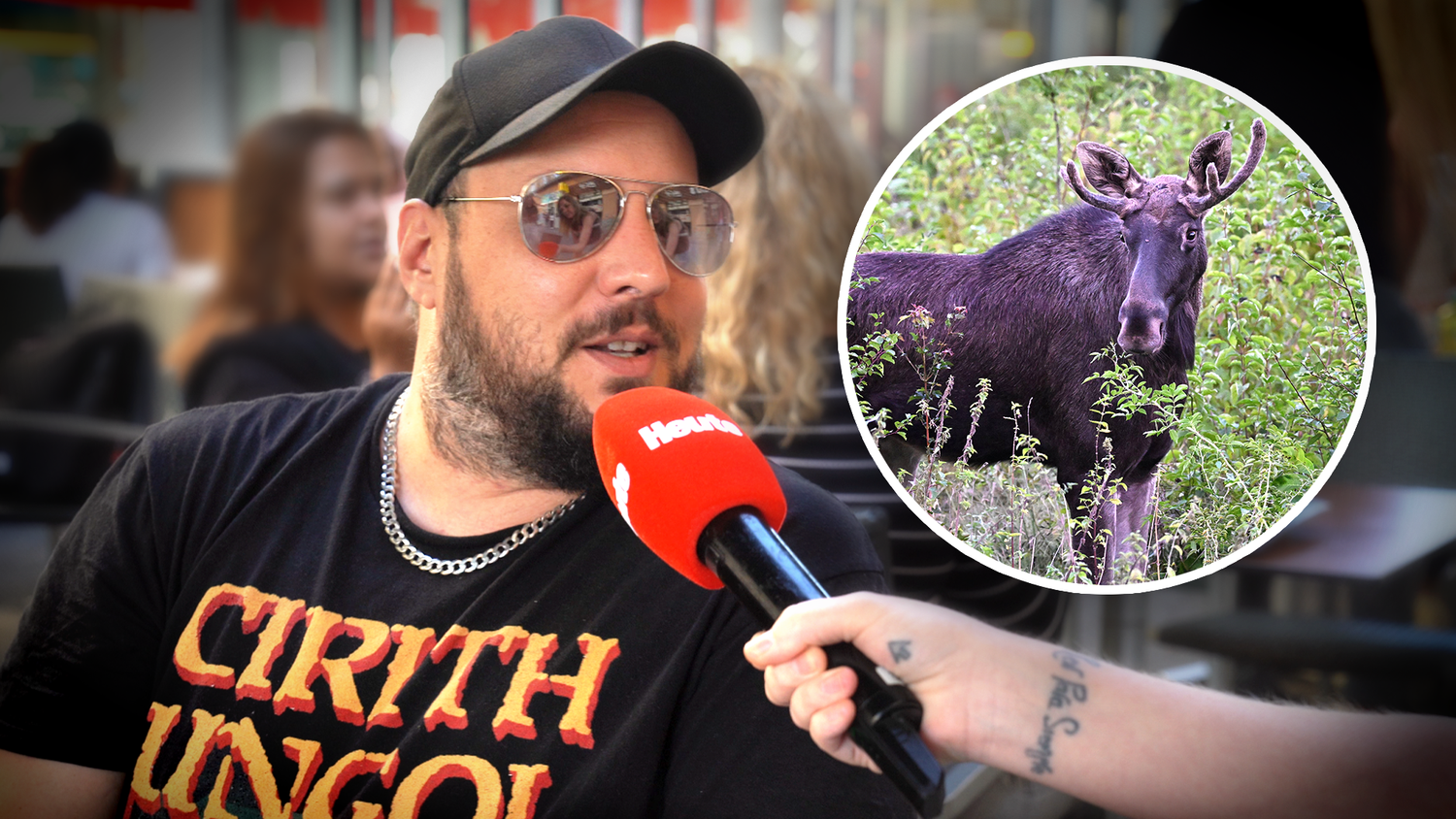 Mir ist nur wichtig, dass das Tier möglichst friedlich leben kann – Niko hofft, dass es Emil gut geht