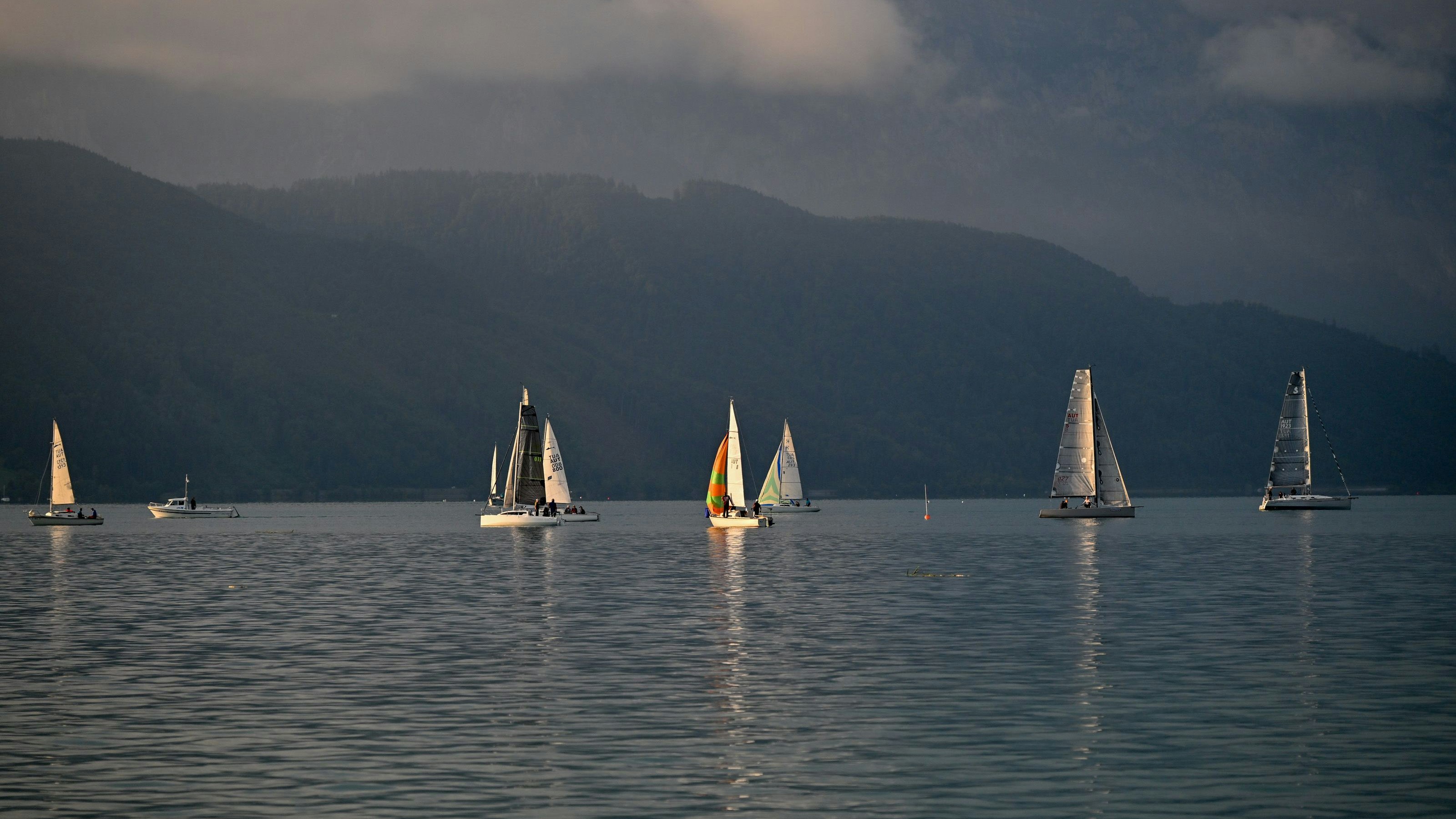 Heute.at - Dramatische Rettung! Wiener stürzt von Boot in Attersee