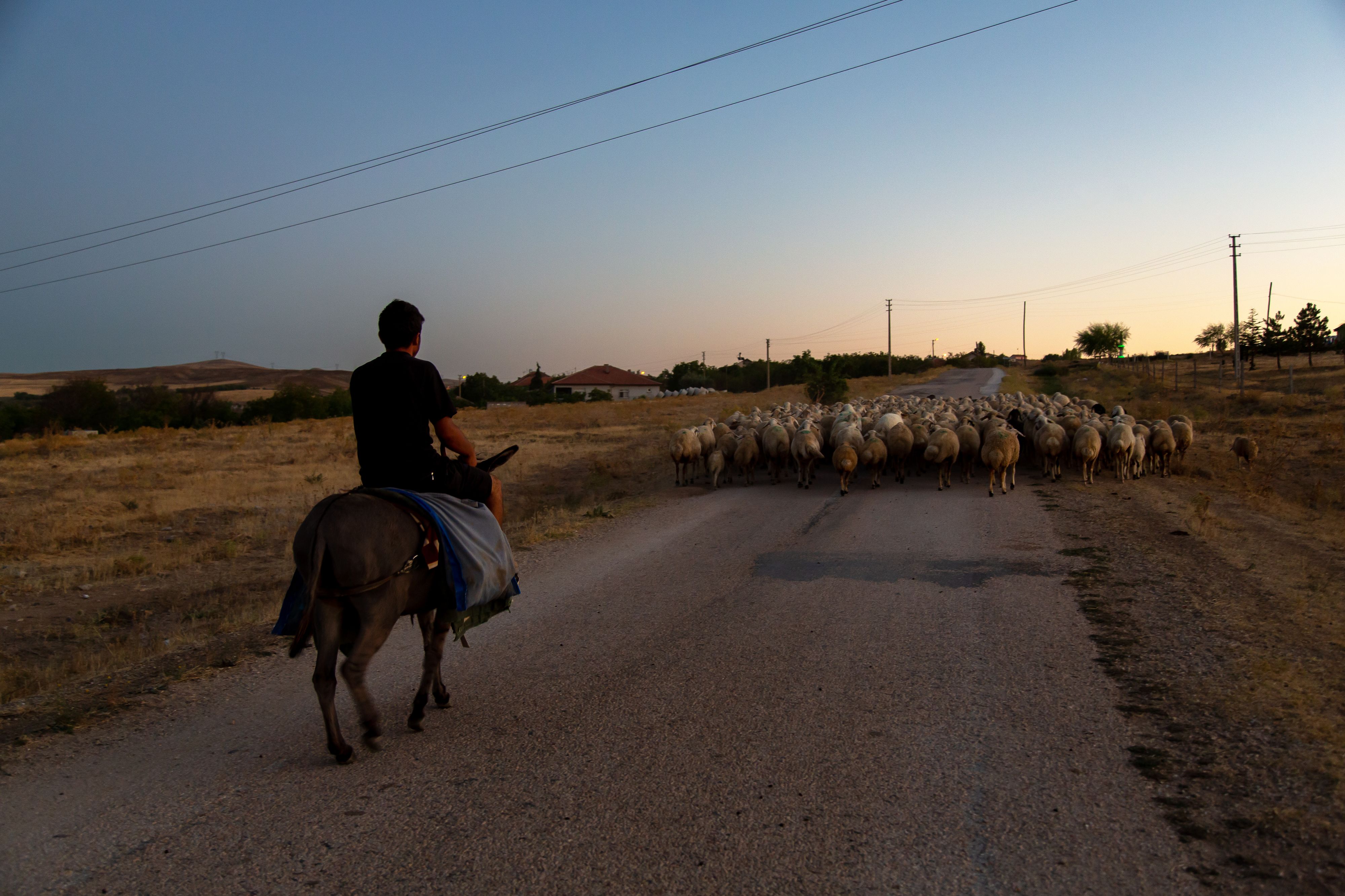 Die Türkei erlebt derzeit die schlimmste Trockenheit seit 50 Jahren. 