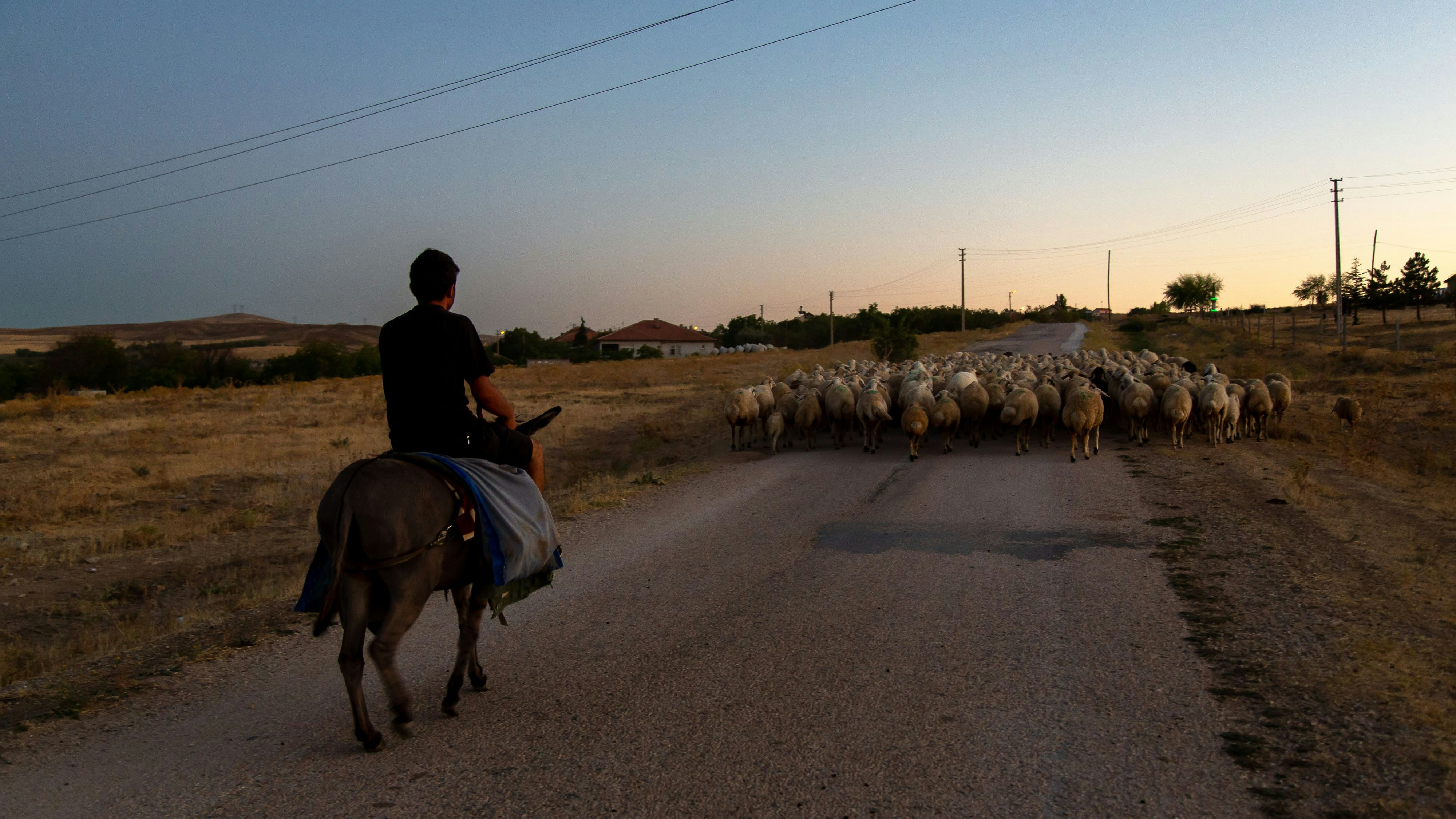 Heute.at - Türkei erlebt schlimmste Trockenheit seit 50 Jahren