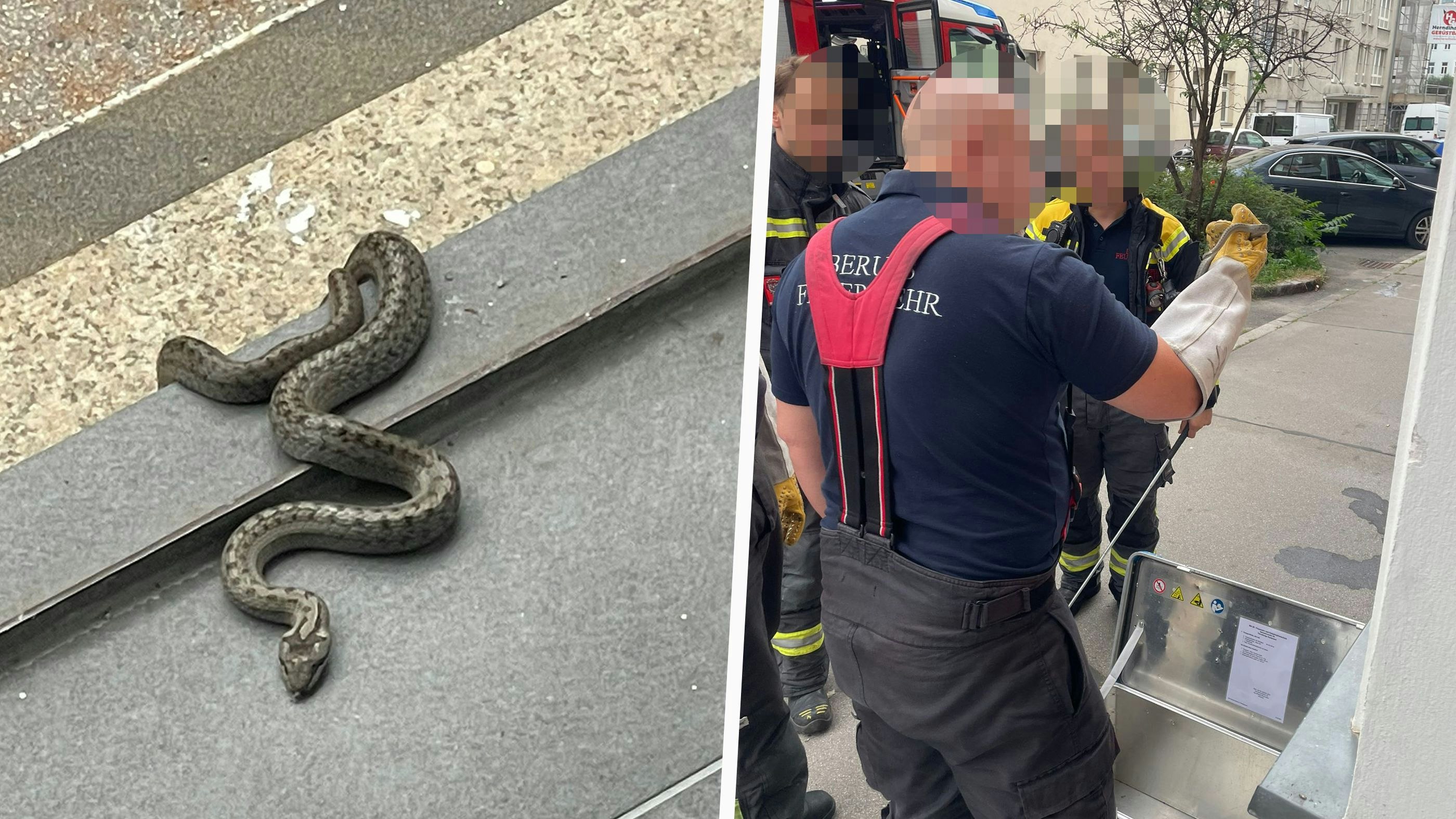 Heute.at - Firmen-Boss in Wien findet meterlange Schlange im Büro
