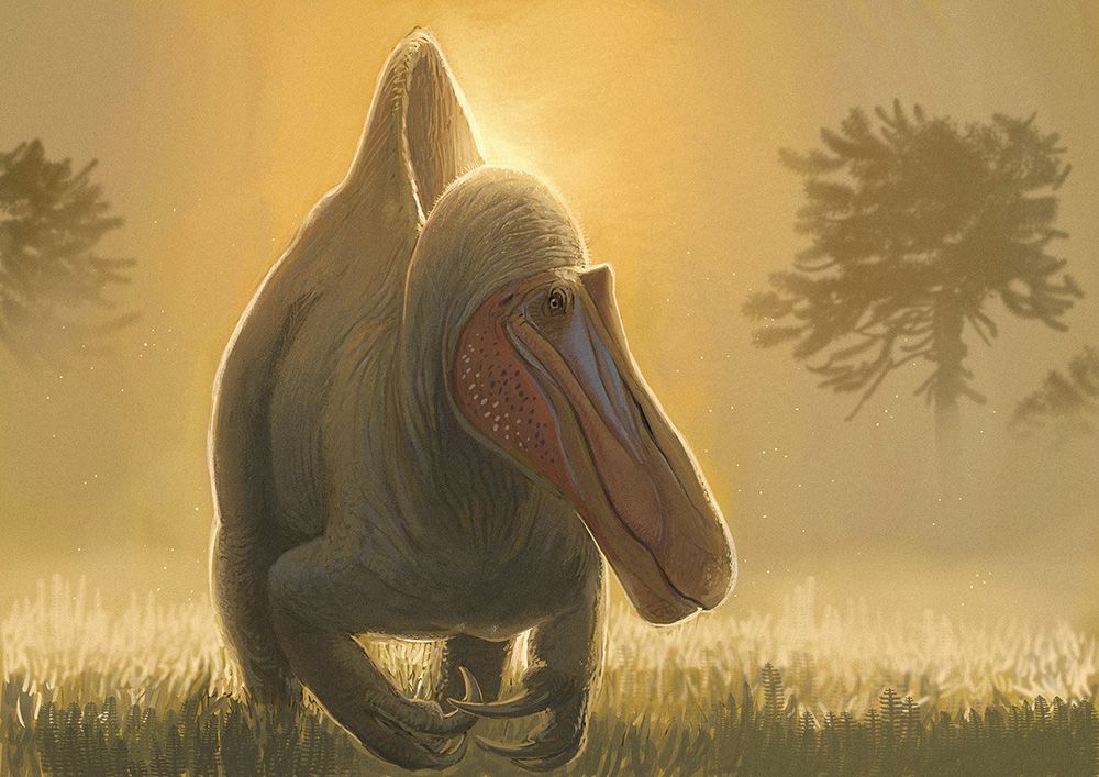 So könnte der Camarillasaurus cirugedae ausgesehen haben.