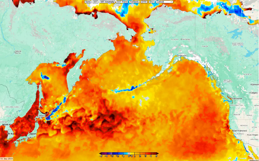 Je dunkler, desto wärmer: Die Temperaturen der Ozeane sind aufgrund der menschengemachten Klima-Erwärmung viel zu hoch.