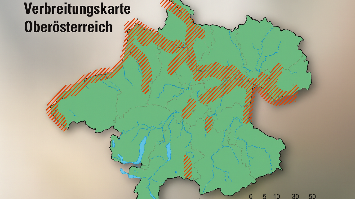Die Karte zeigt, wo in Oberösterreich Biber vorkommen.
